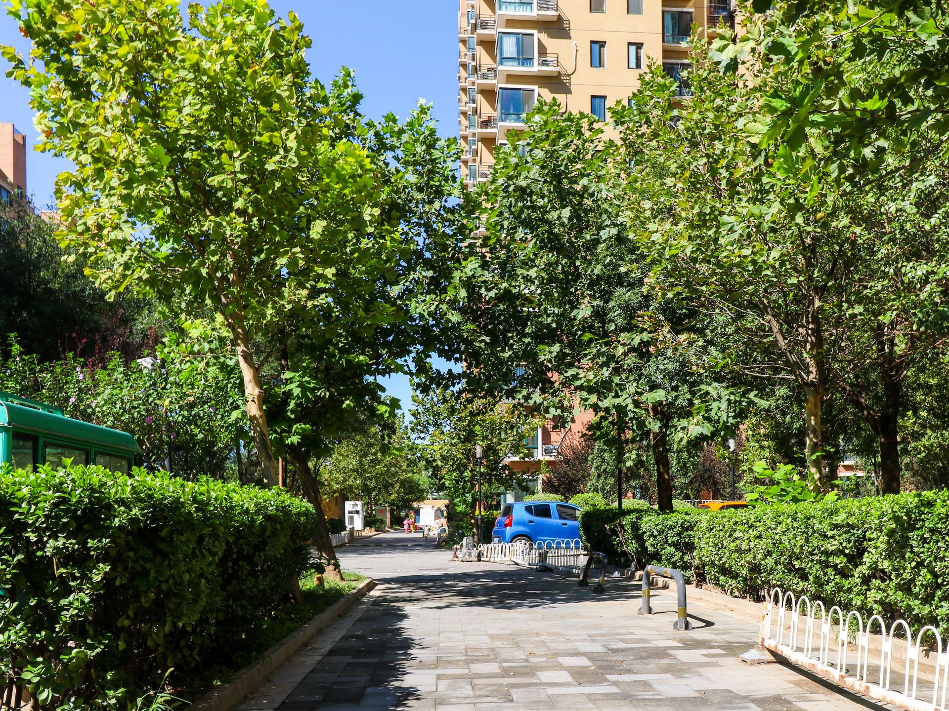 金蝉南里 environment