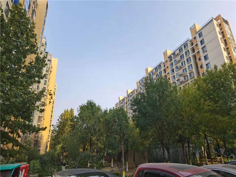 金蝉南里 environment