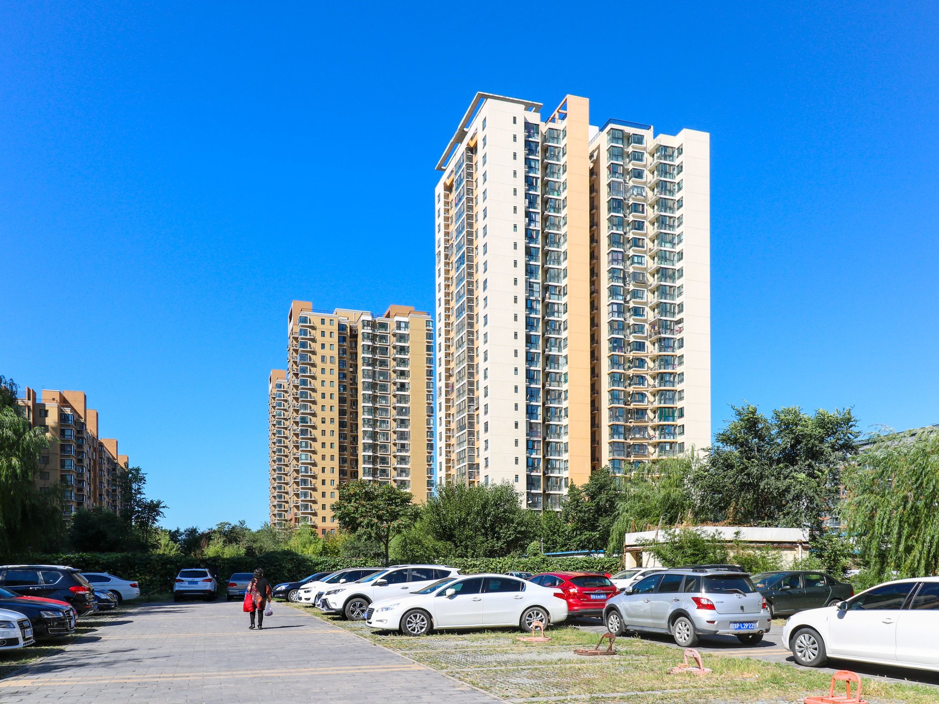 金蝉南里 environment