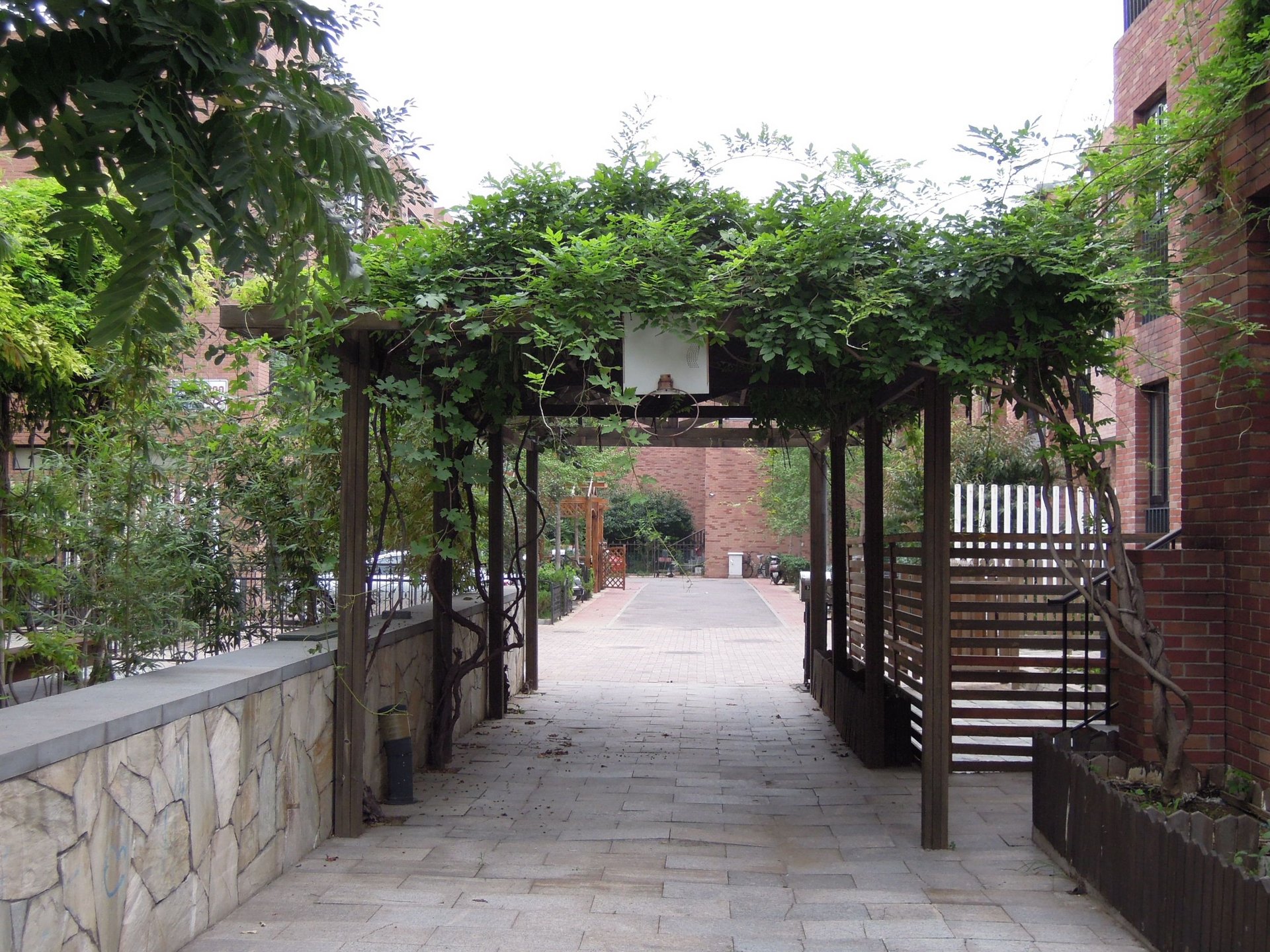 金地格林小镇 environment