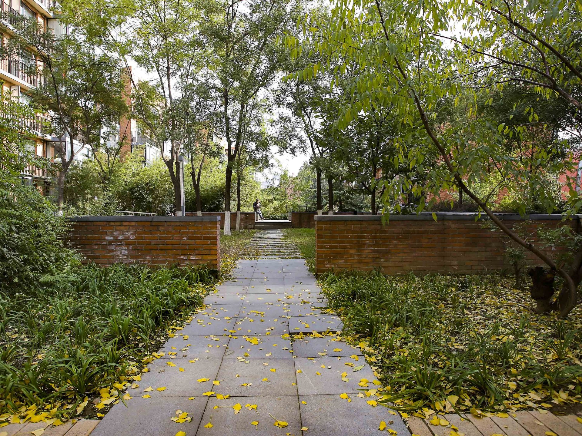 金地格林小镇 environment