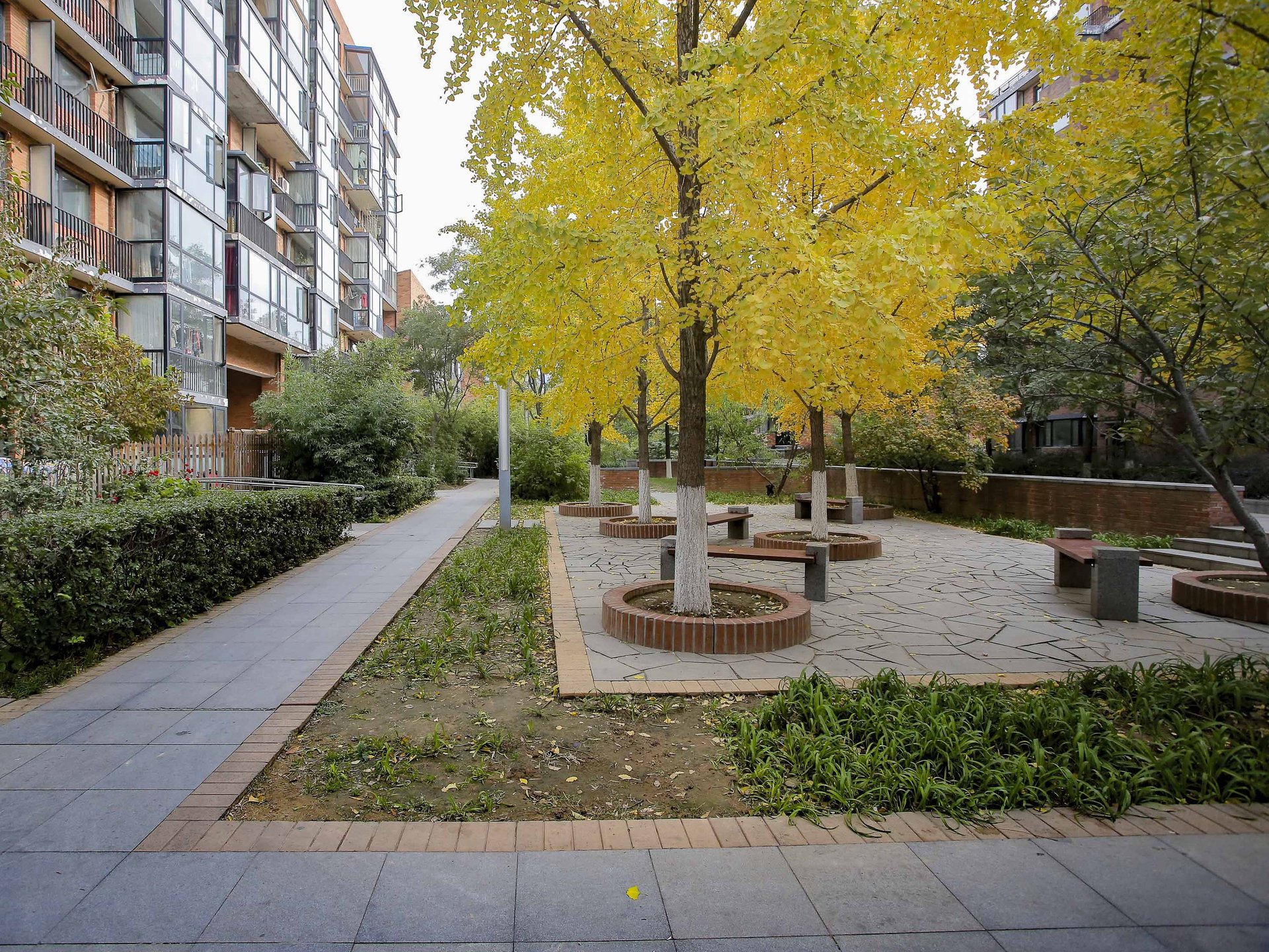 金地格林小镇 environment