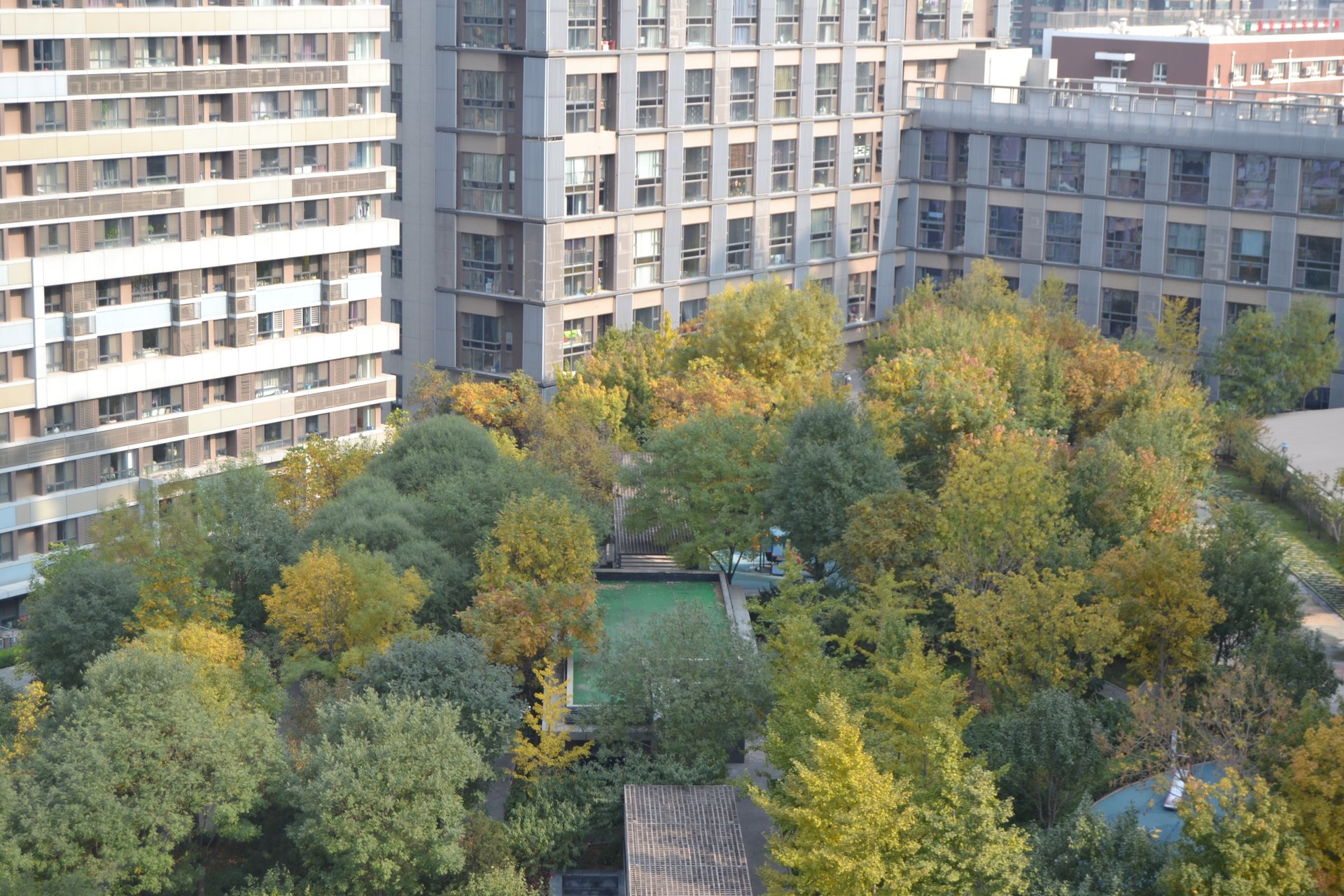 金地名京 environment