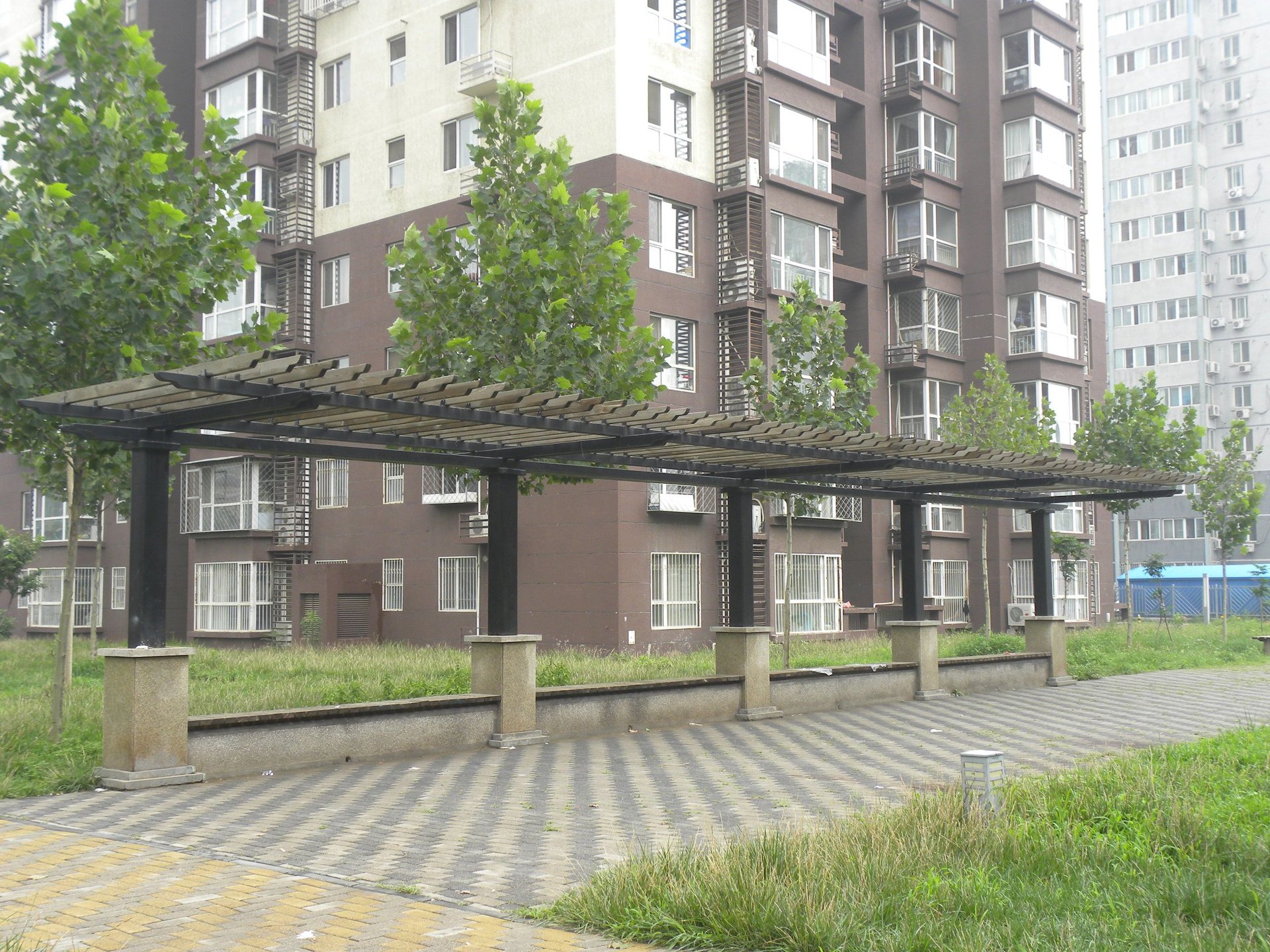 金顶阳光 environment