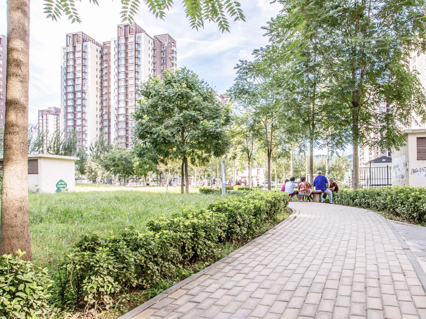 金顶阳光 environment