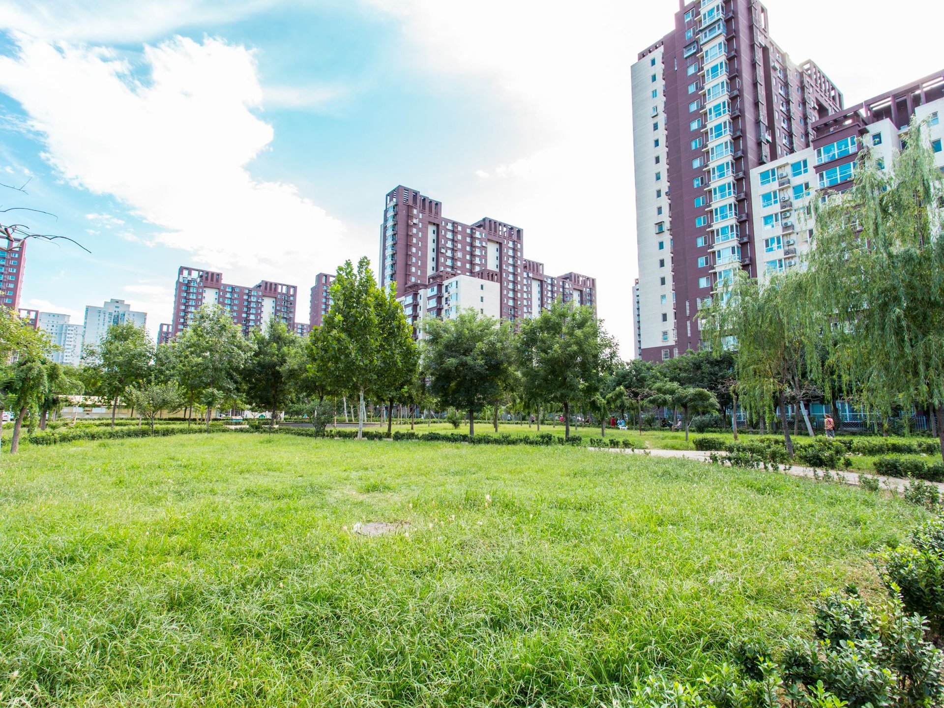 金顶阳光 environment