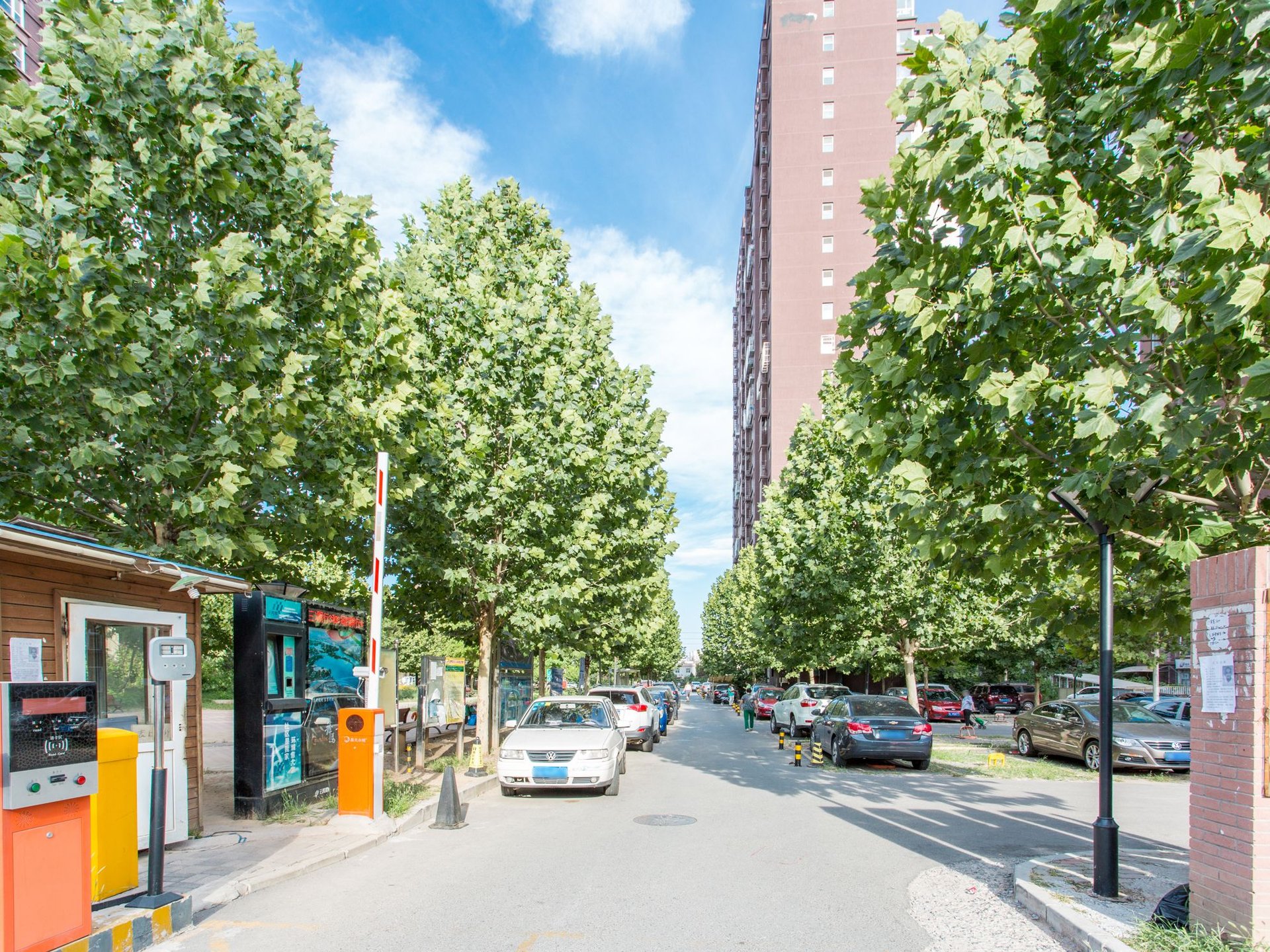 金顶阳光 environment