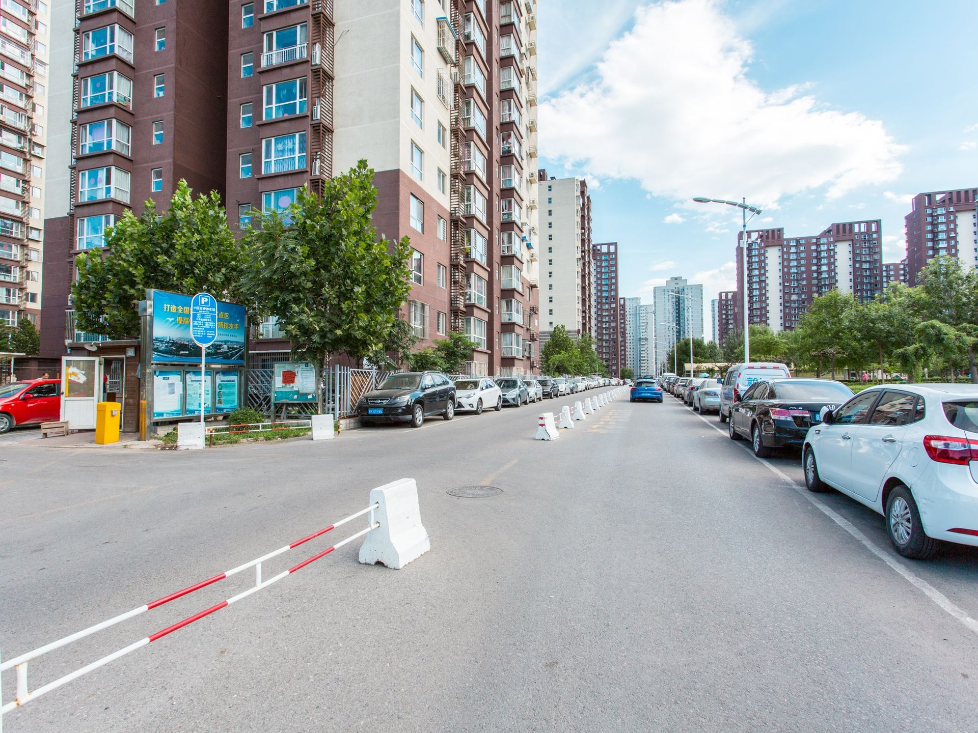 金顶阳光 environment