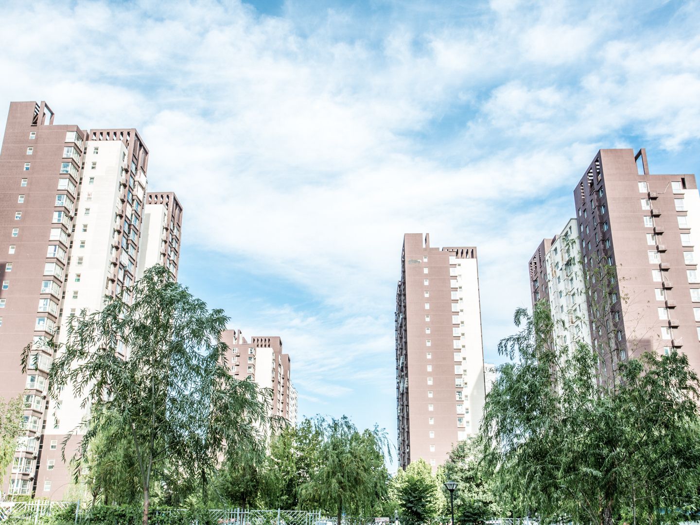 金顶阳光 environment