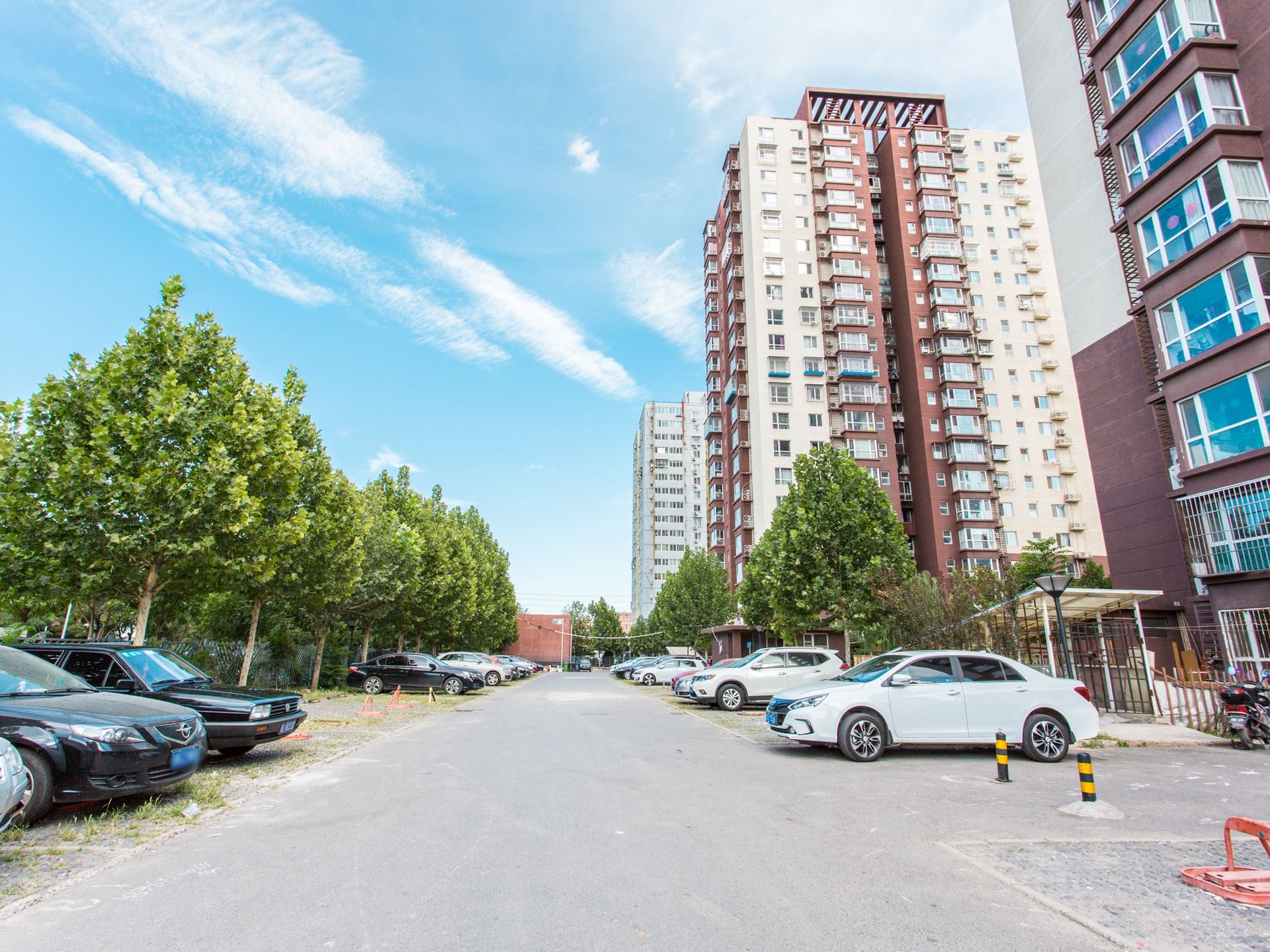 金顶阳光 environment