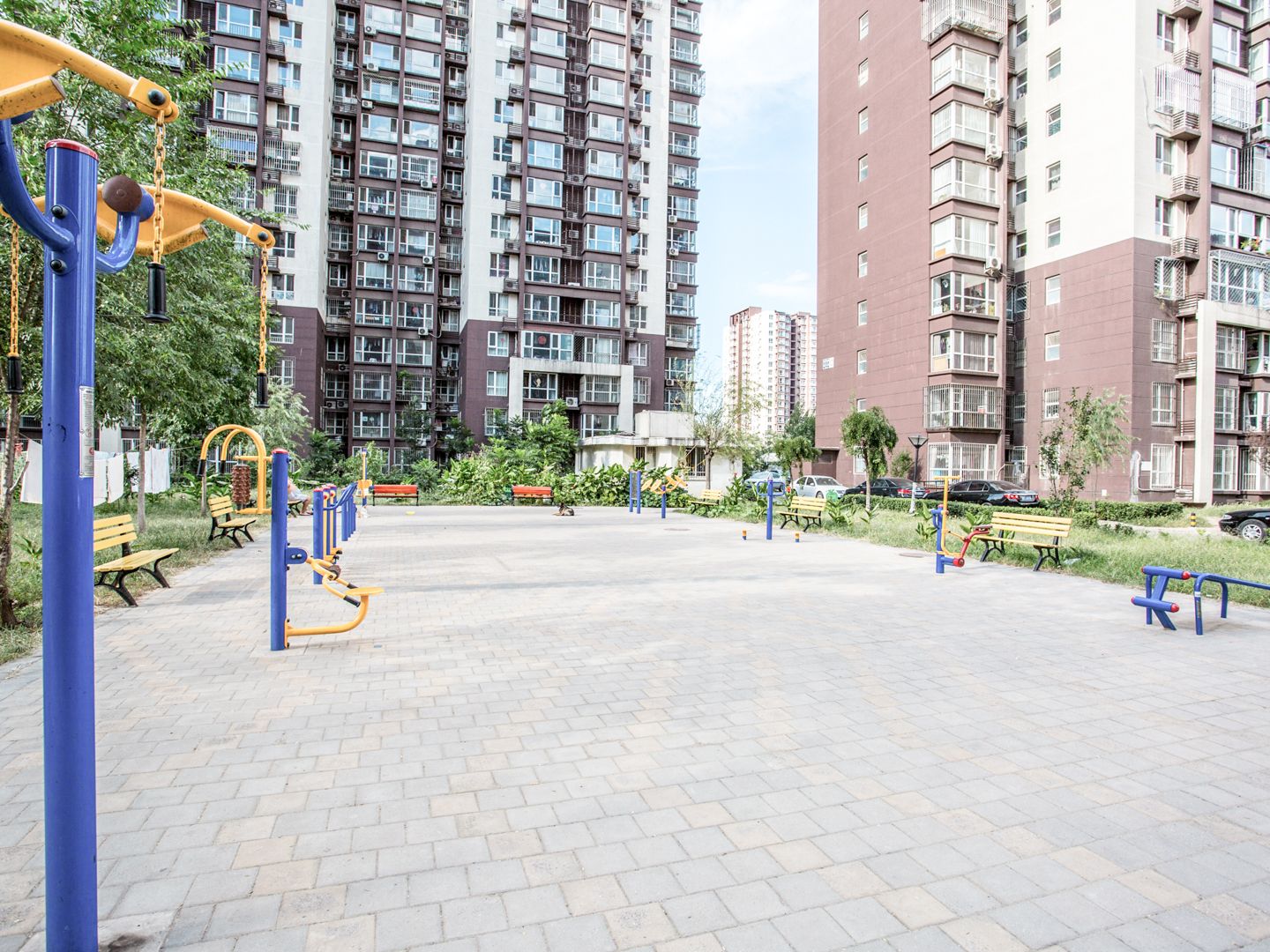 金顶阳光 environment