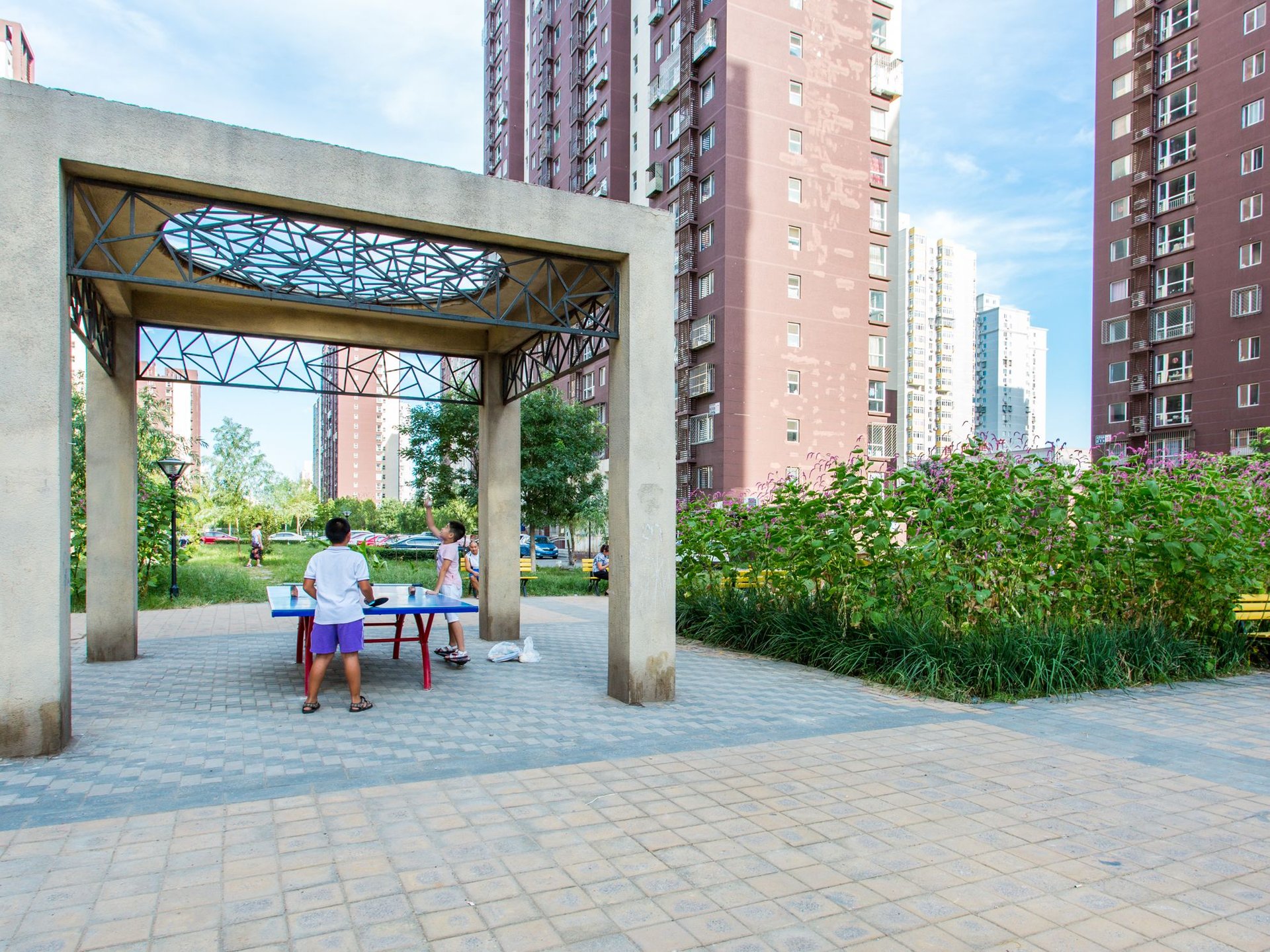 金顶阳光 environment