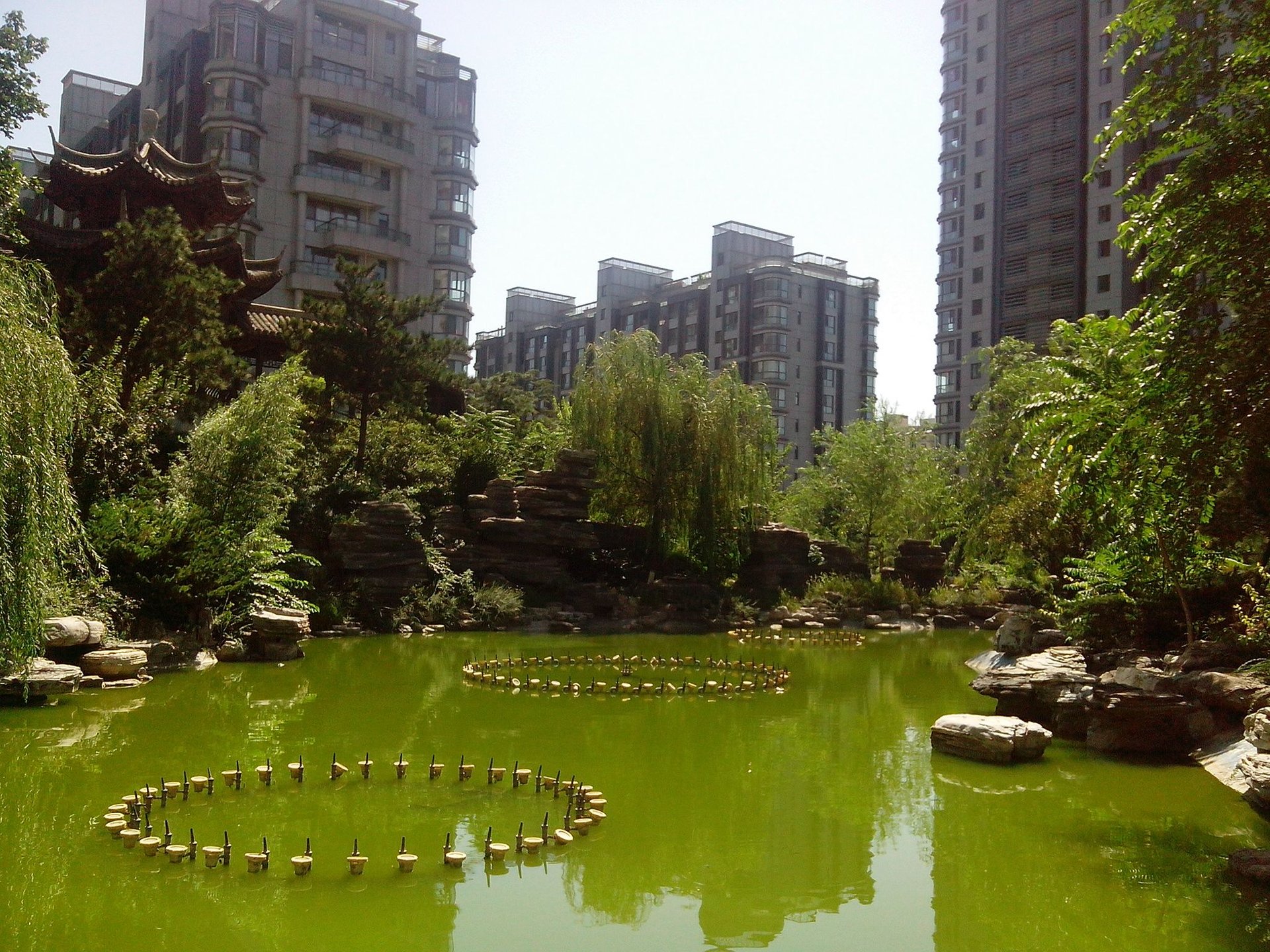 金都杭城东区 environment