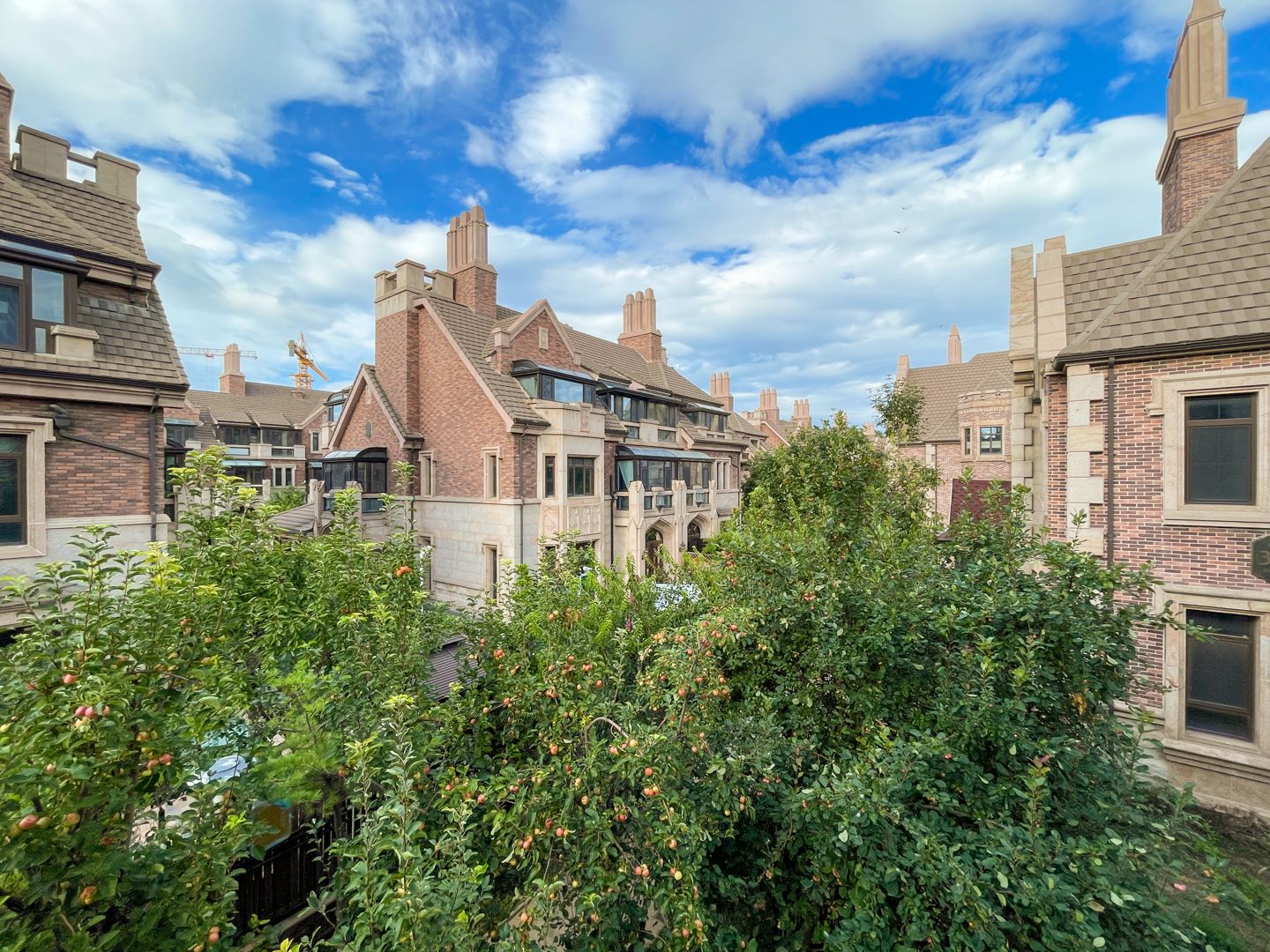 京基鹭府 environment