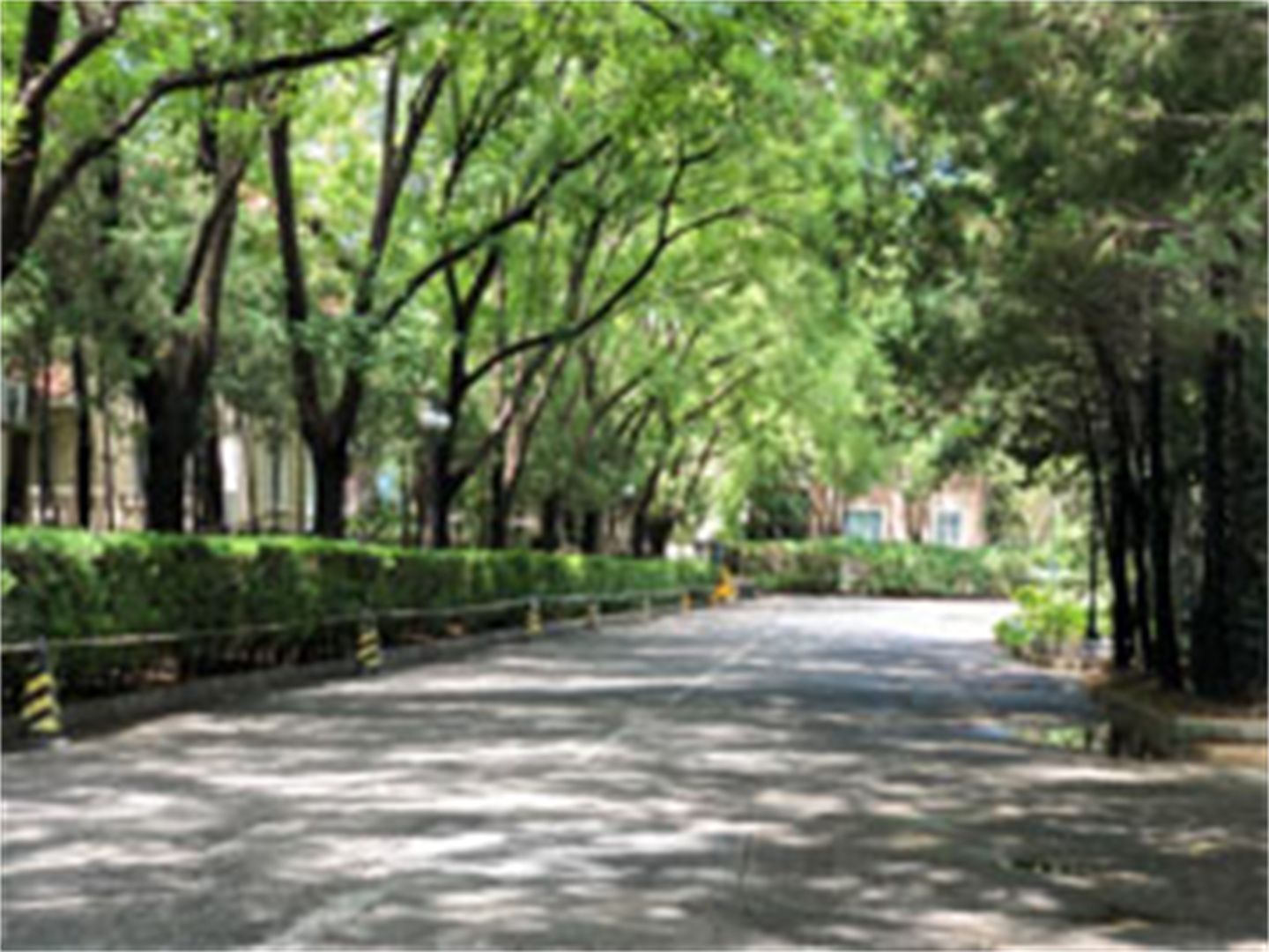 京润水上花园别墅 environment