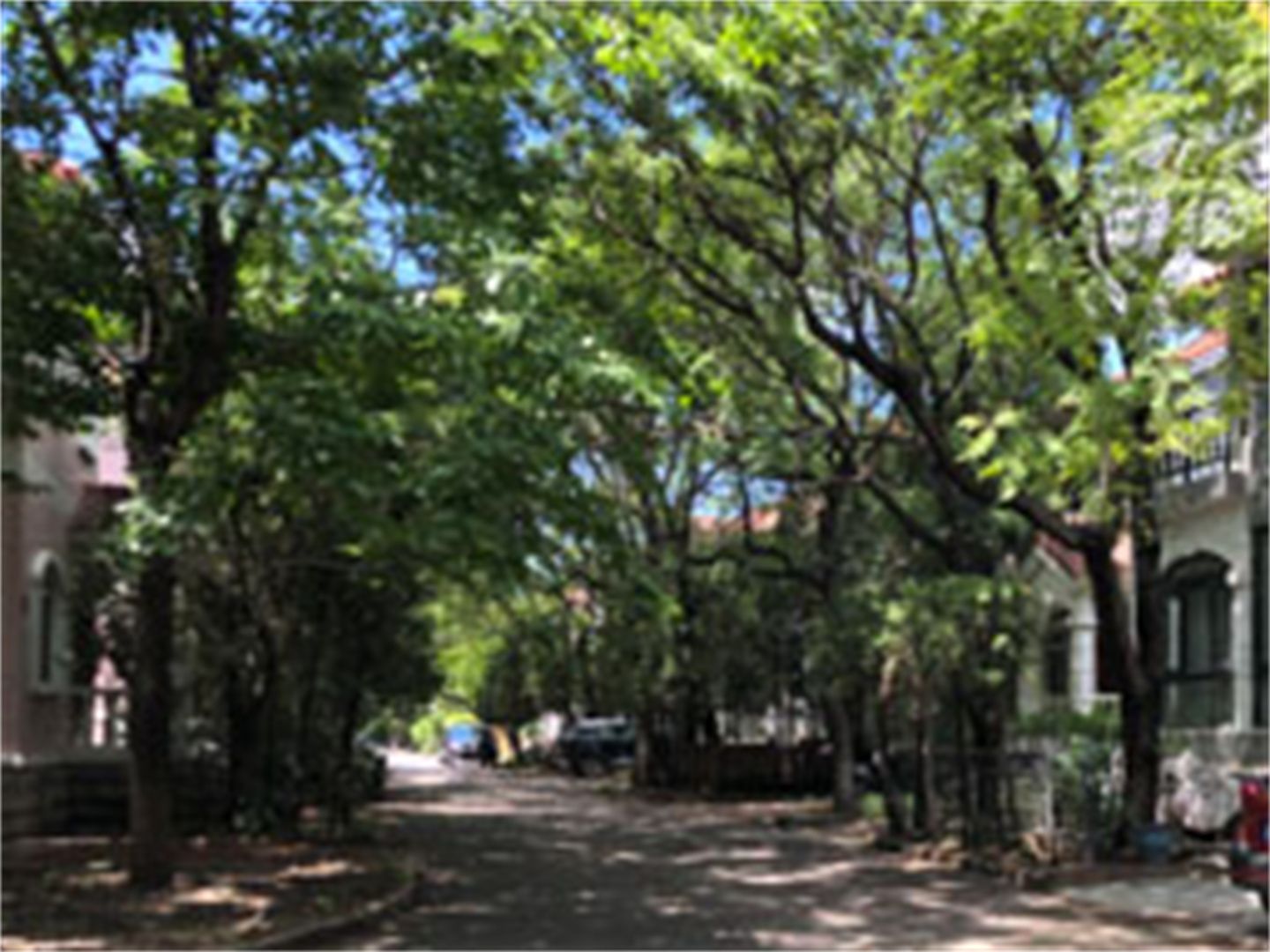 京润水上花园别墅 environment