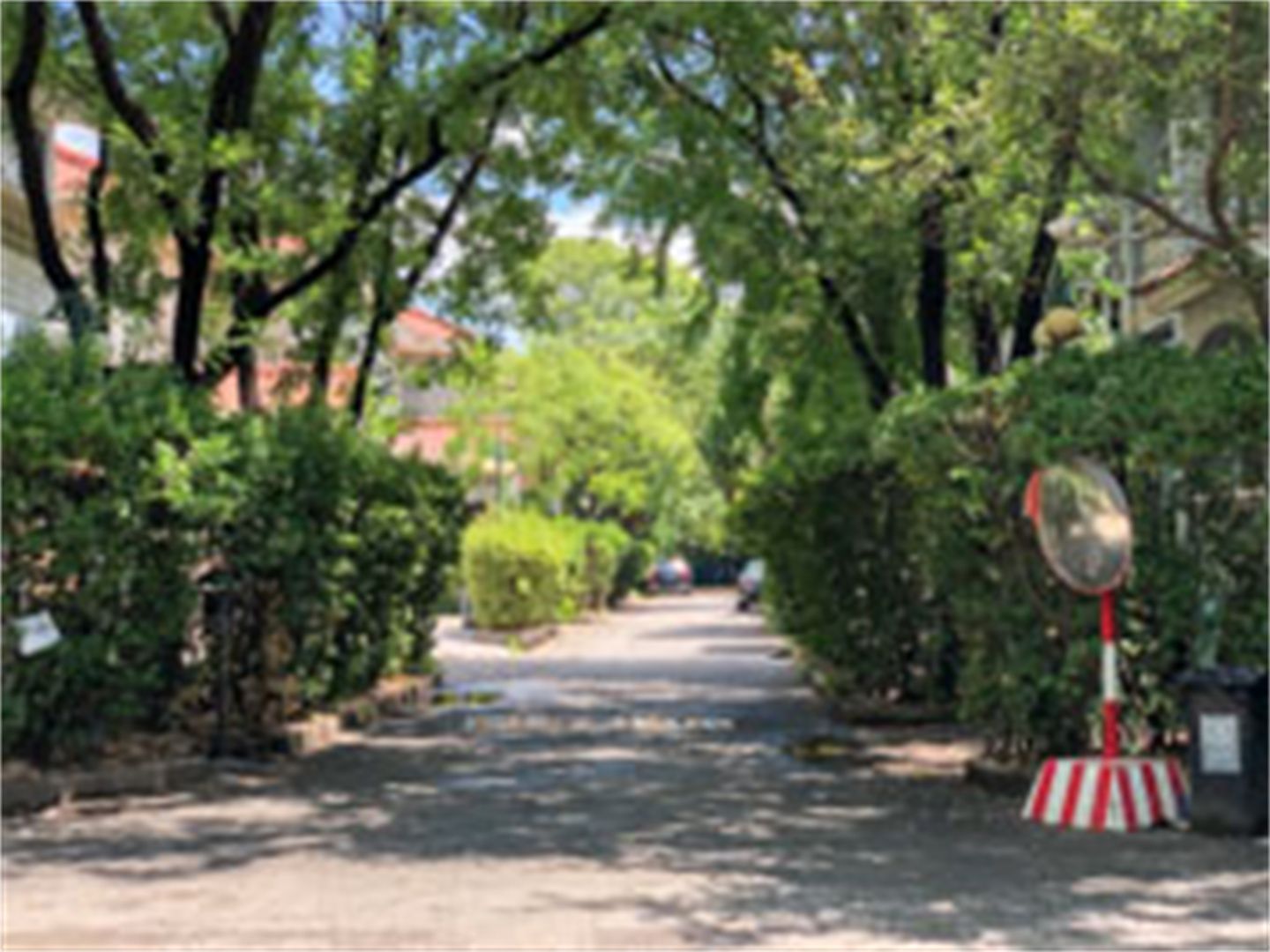 京润水上花园别墅 environment