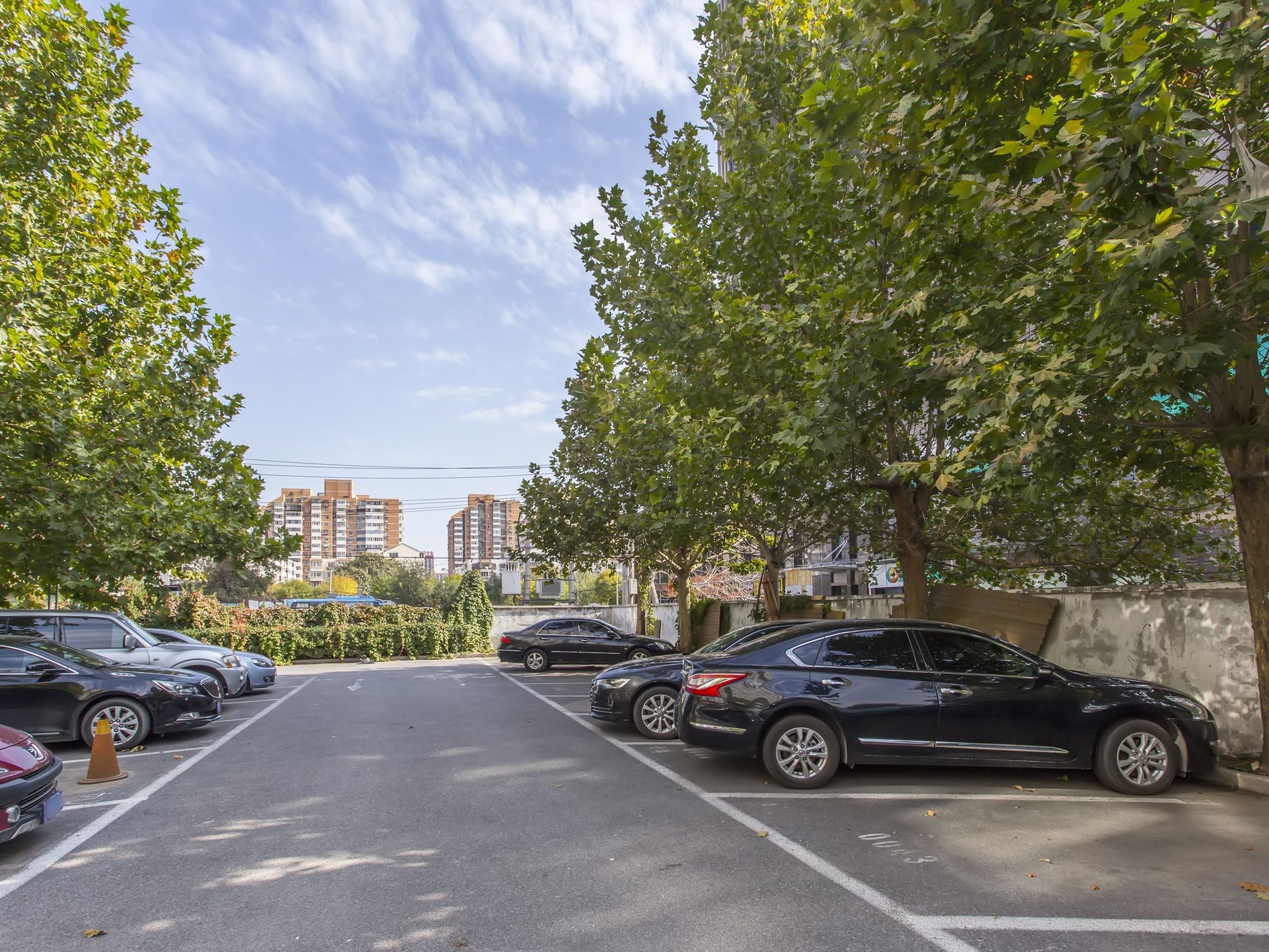 精图雅苑 environment