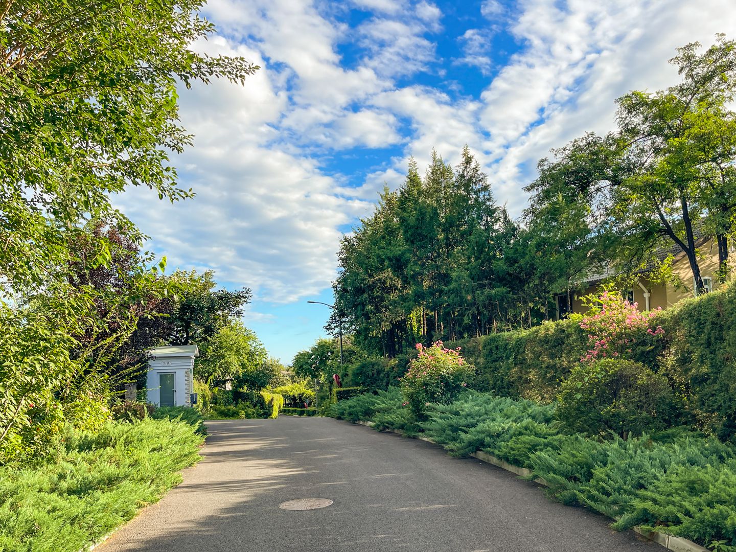 静之湖度假山庄 environment