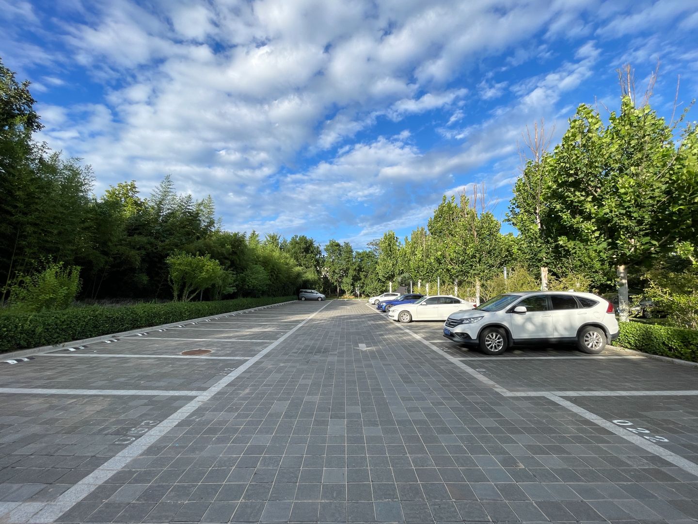 静之湖度假山庄 environment