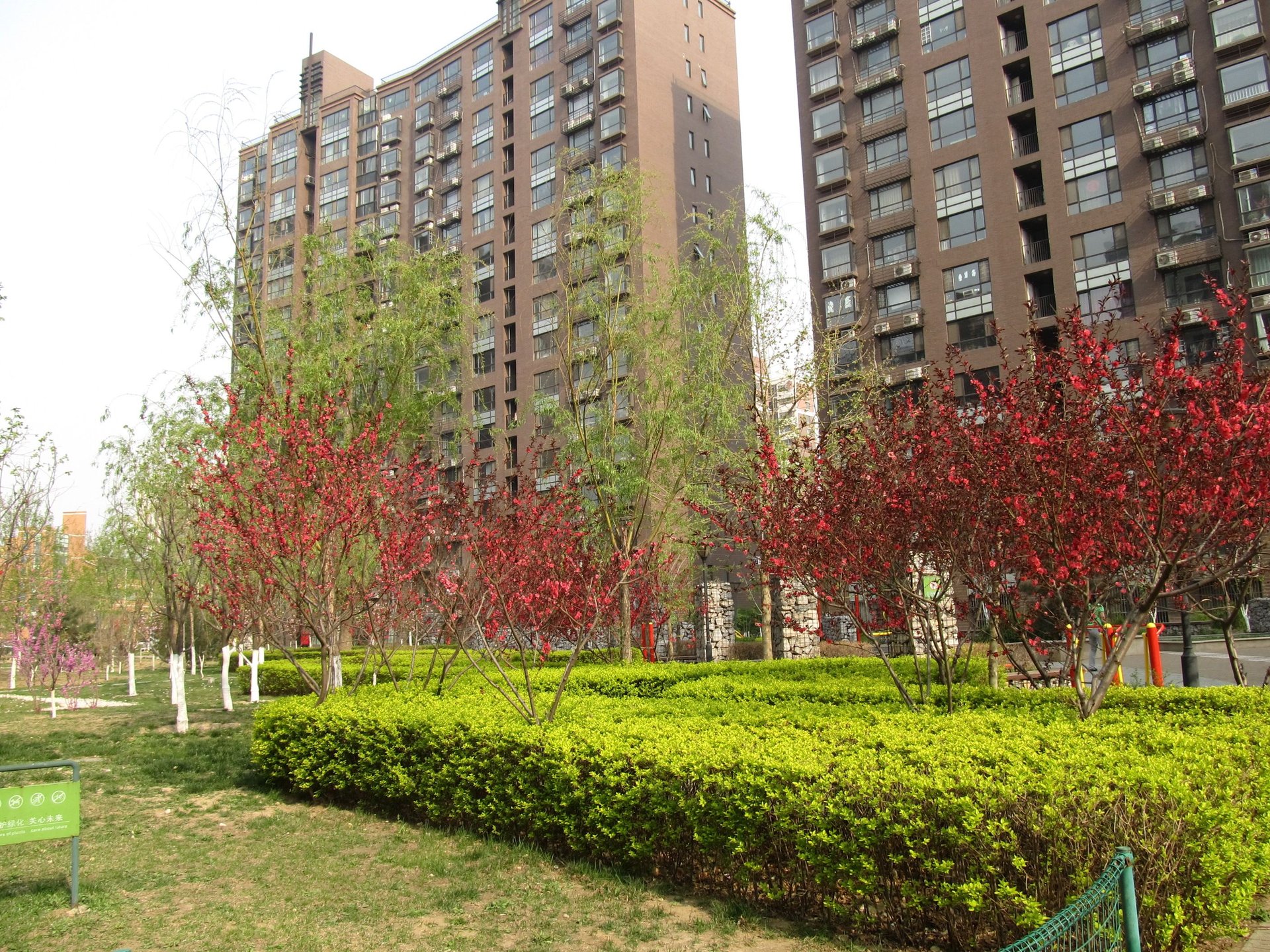 金汉绿港二区 environment