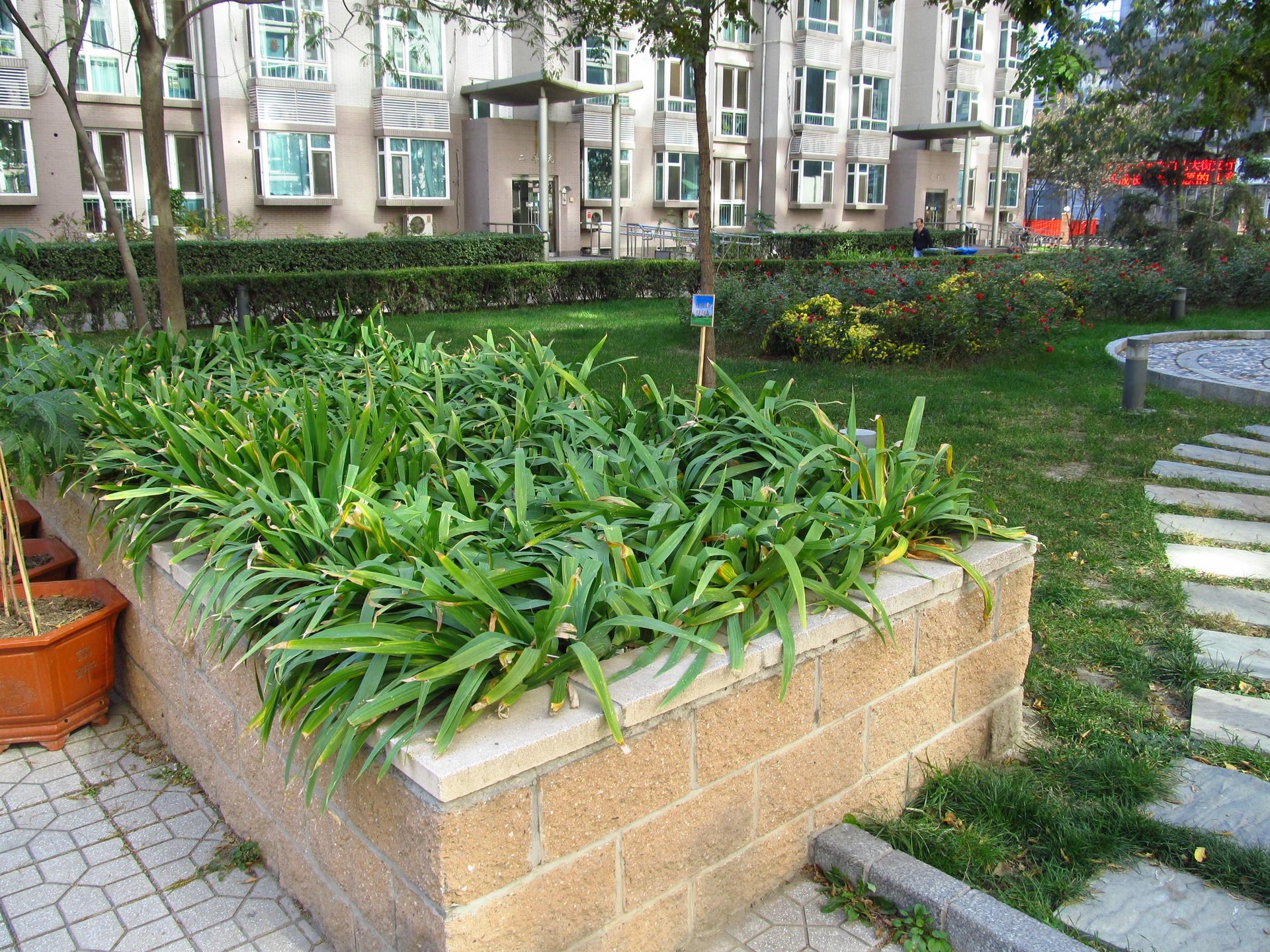 金晖嘉园 environment