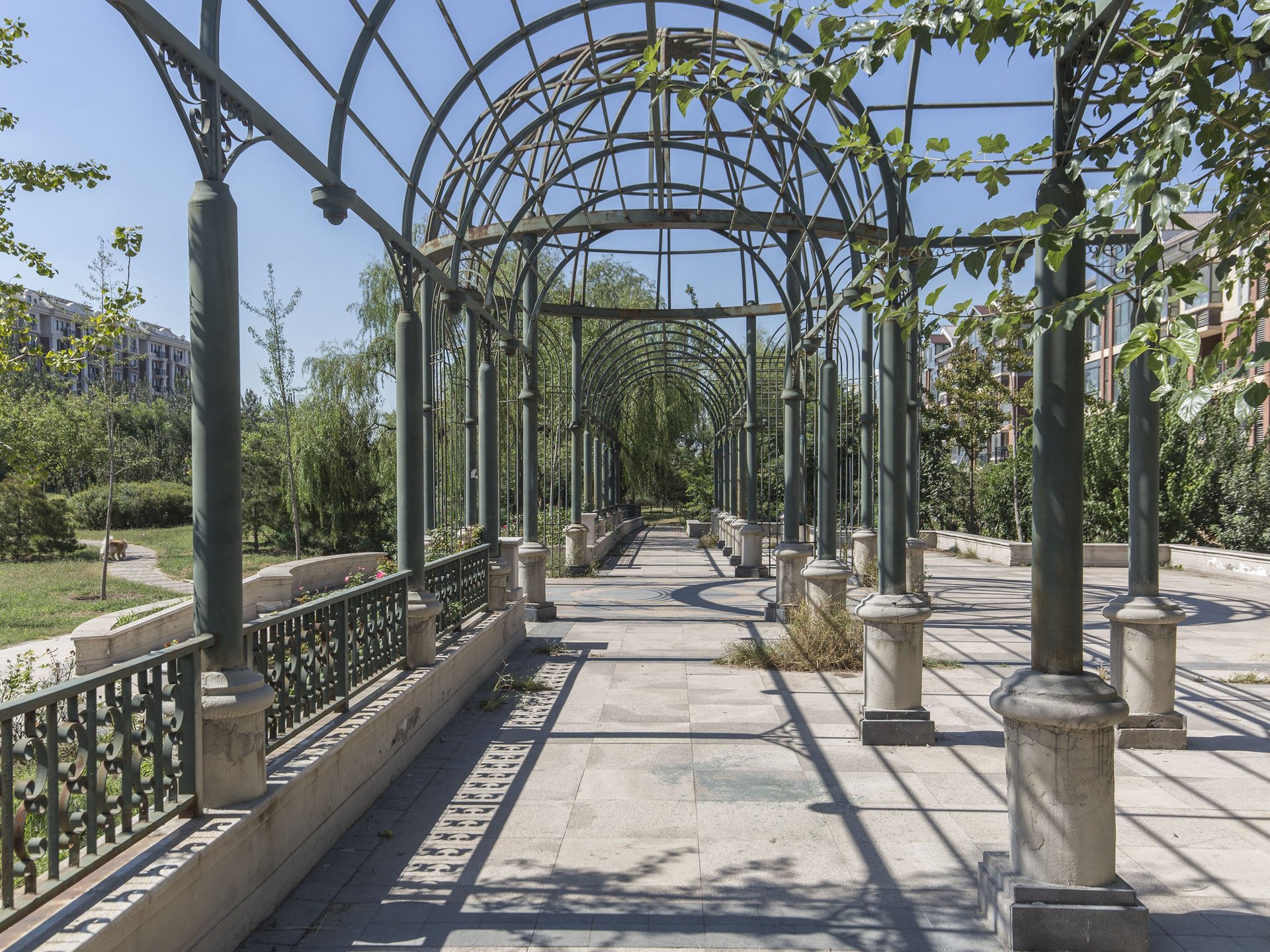 金色漫香林五期 environment