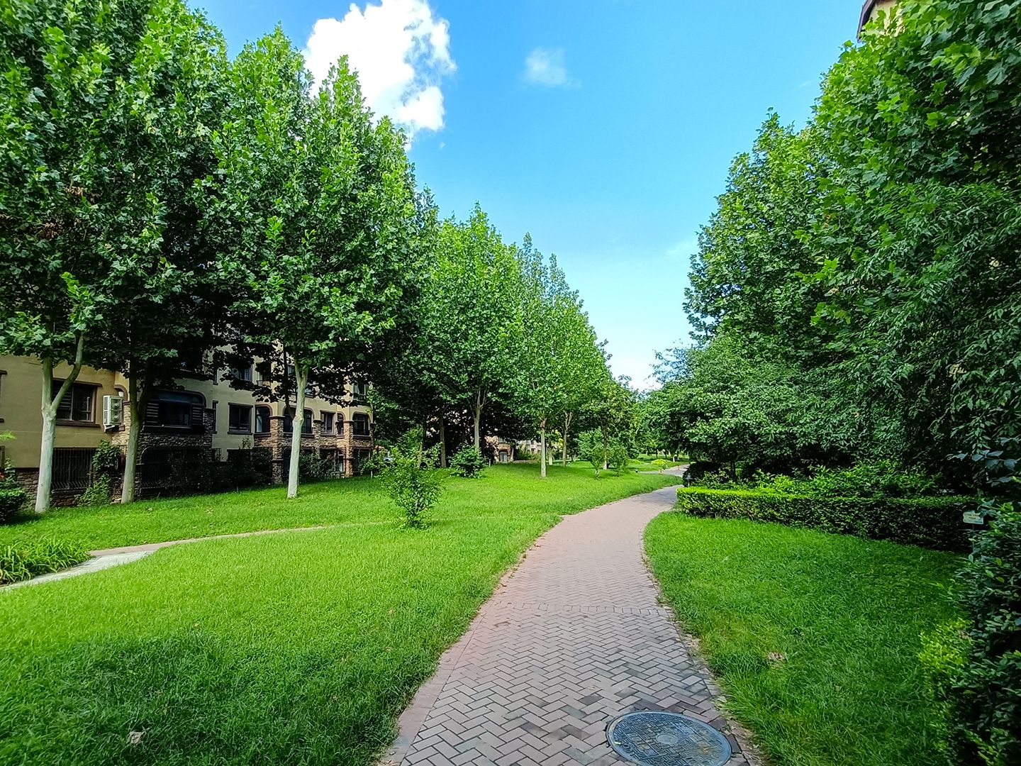 金色漫香苑 environment