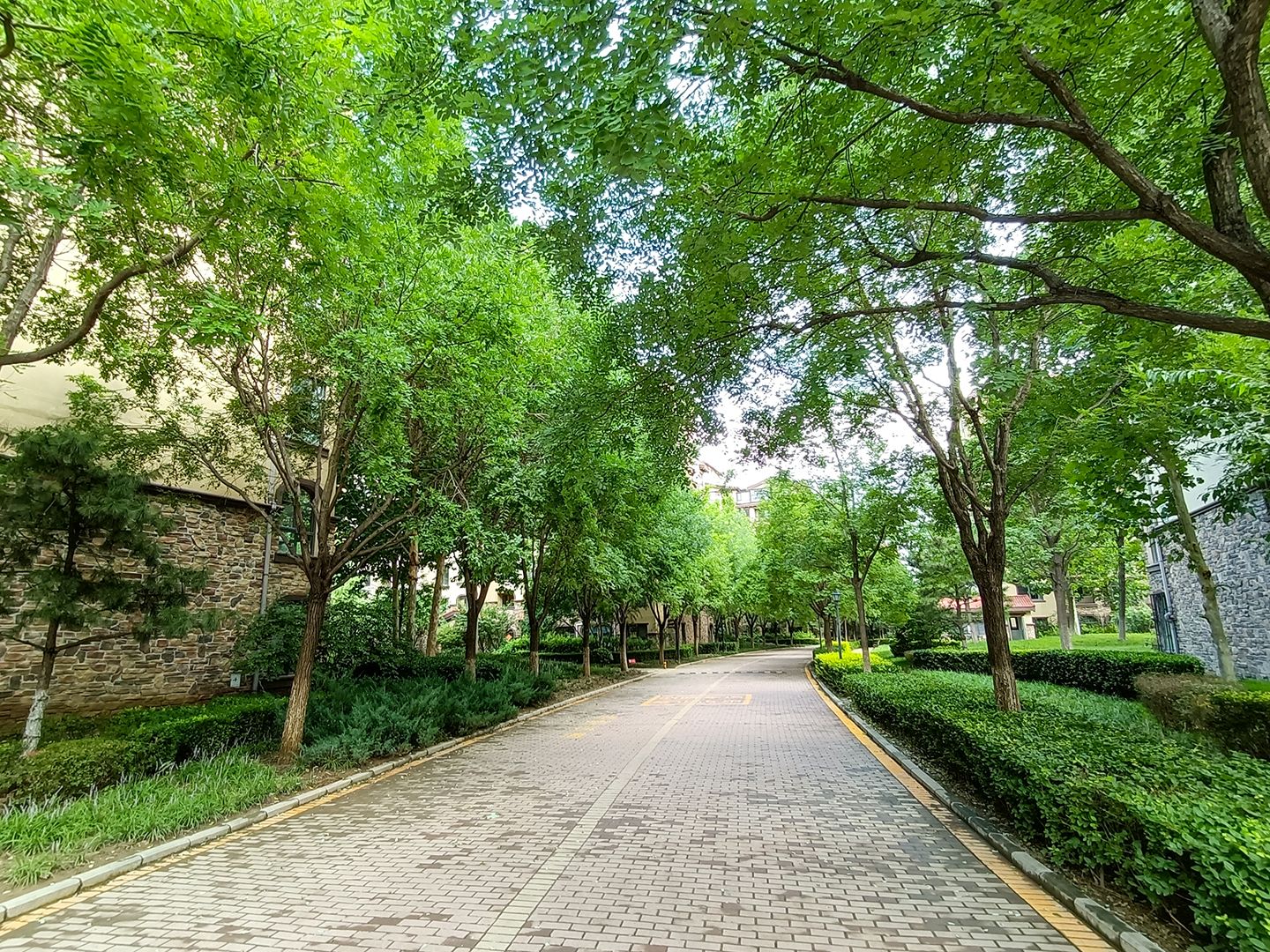 金色漫香苑 environment