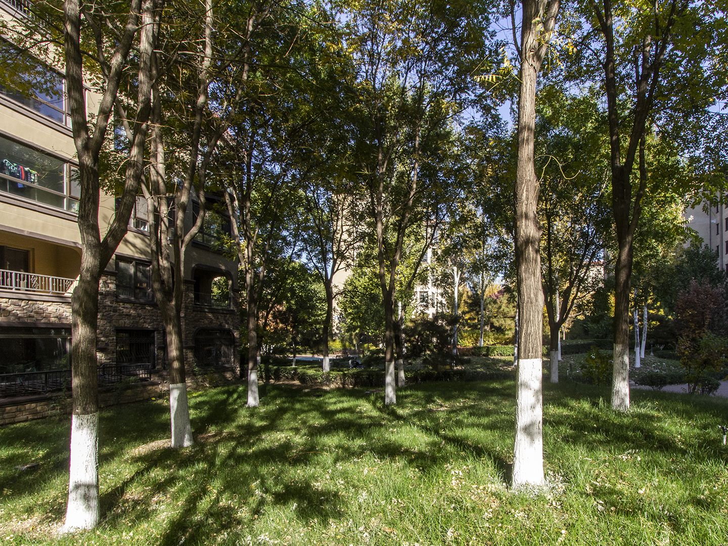 金色漫香苑 environment