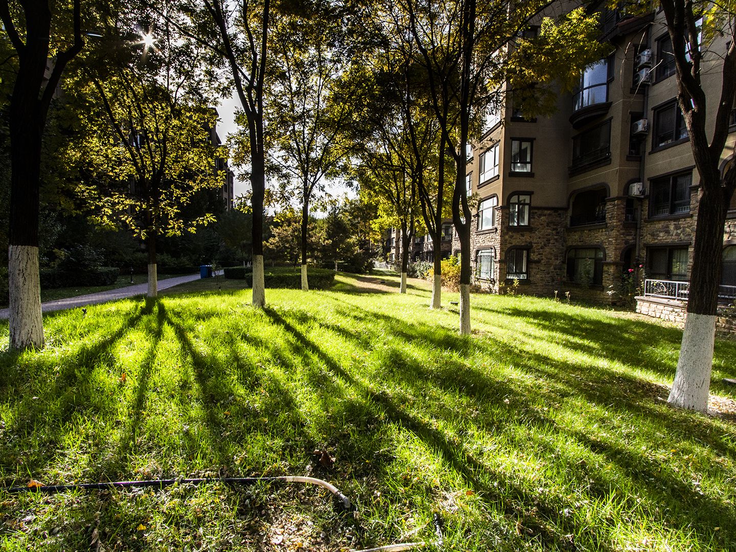 金色漫香苑 environment