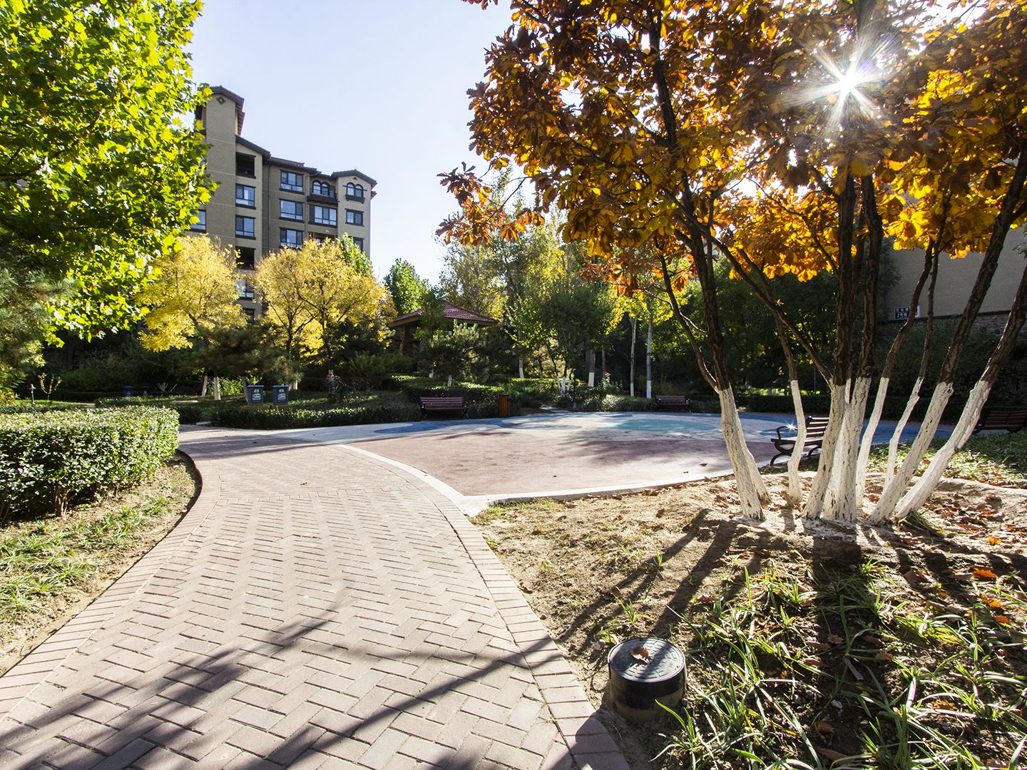 金色漫香苑 environment