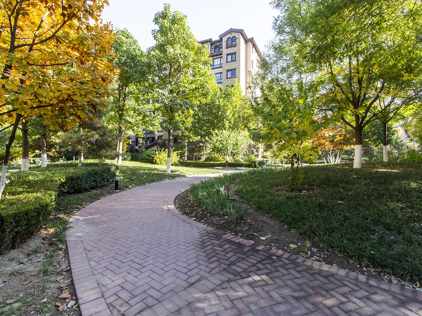 金色漫香苑 environment