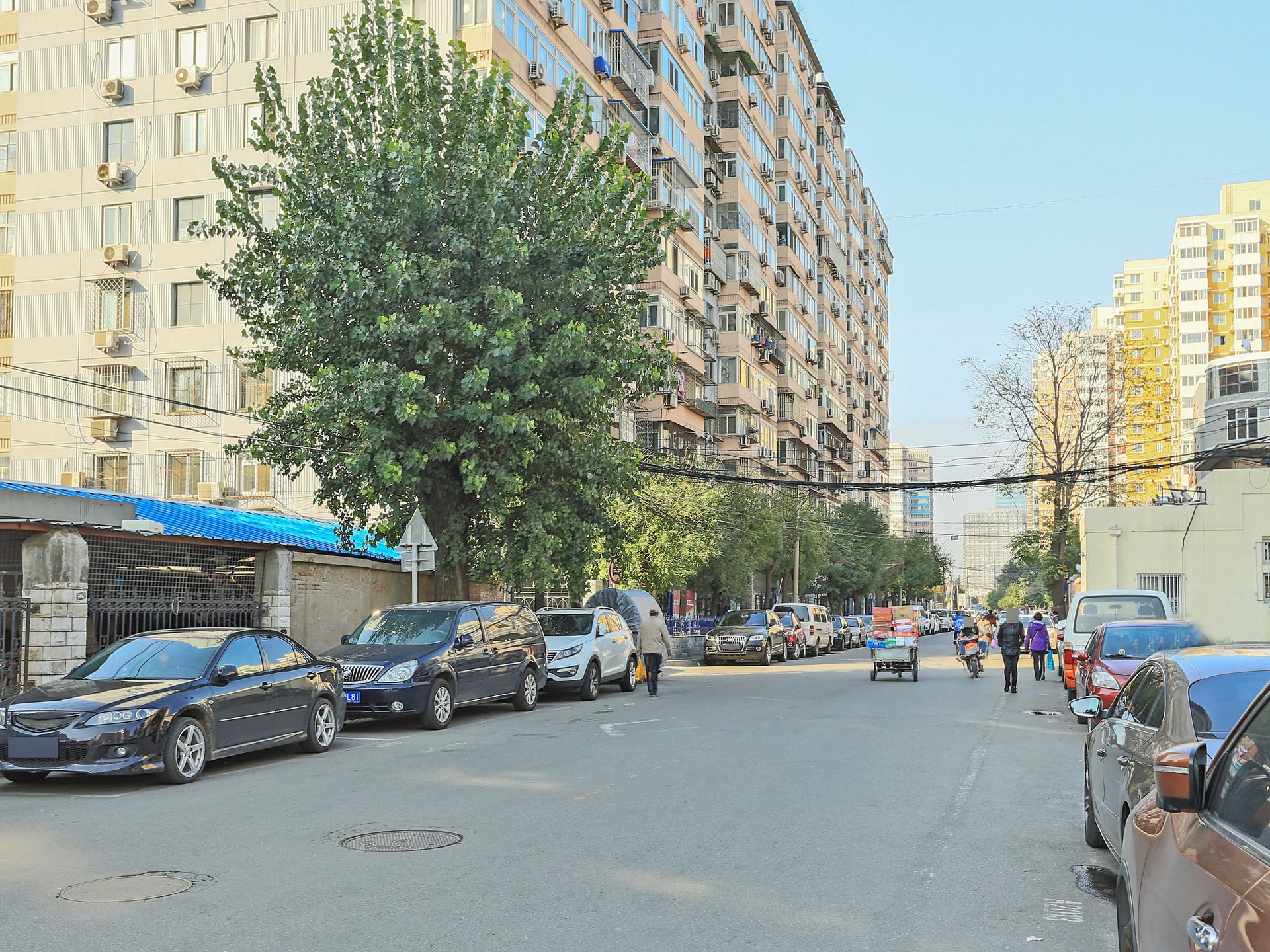 金世纪嘉园 environment