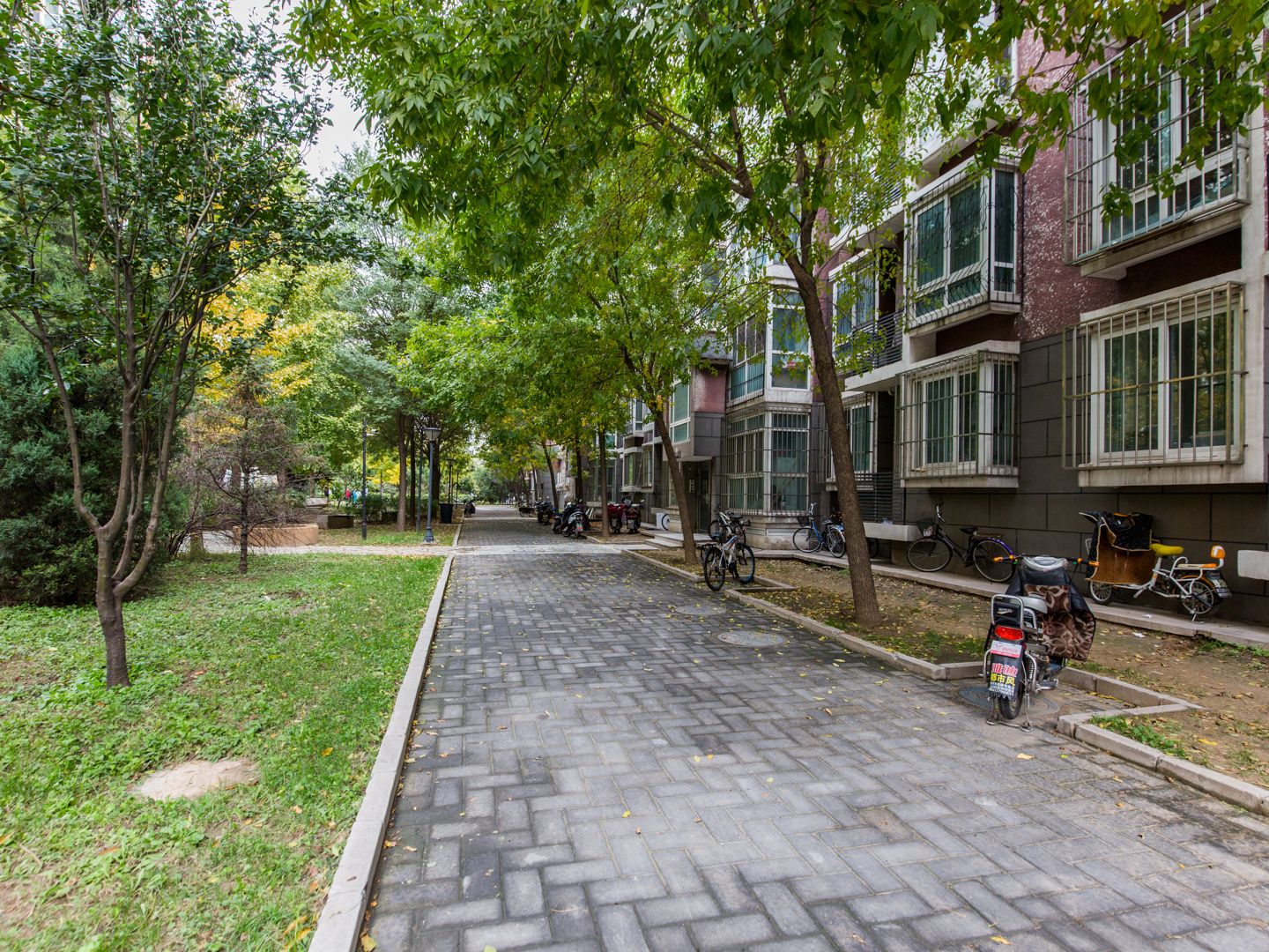 锦顺佳园 environment