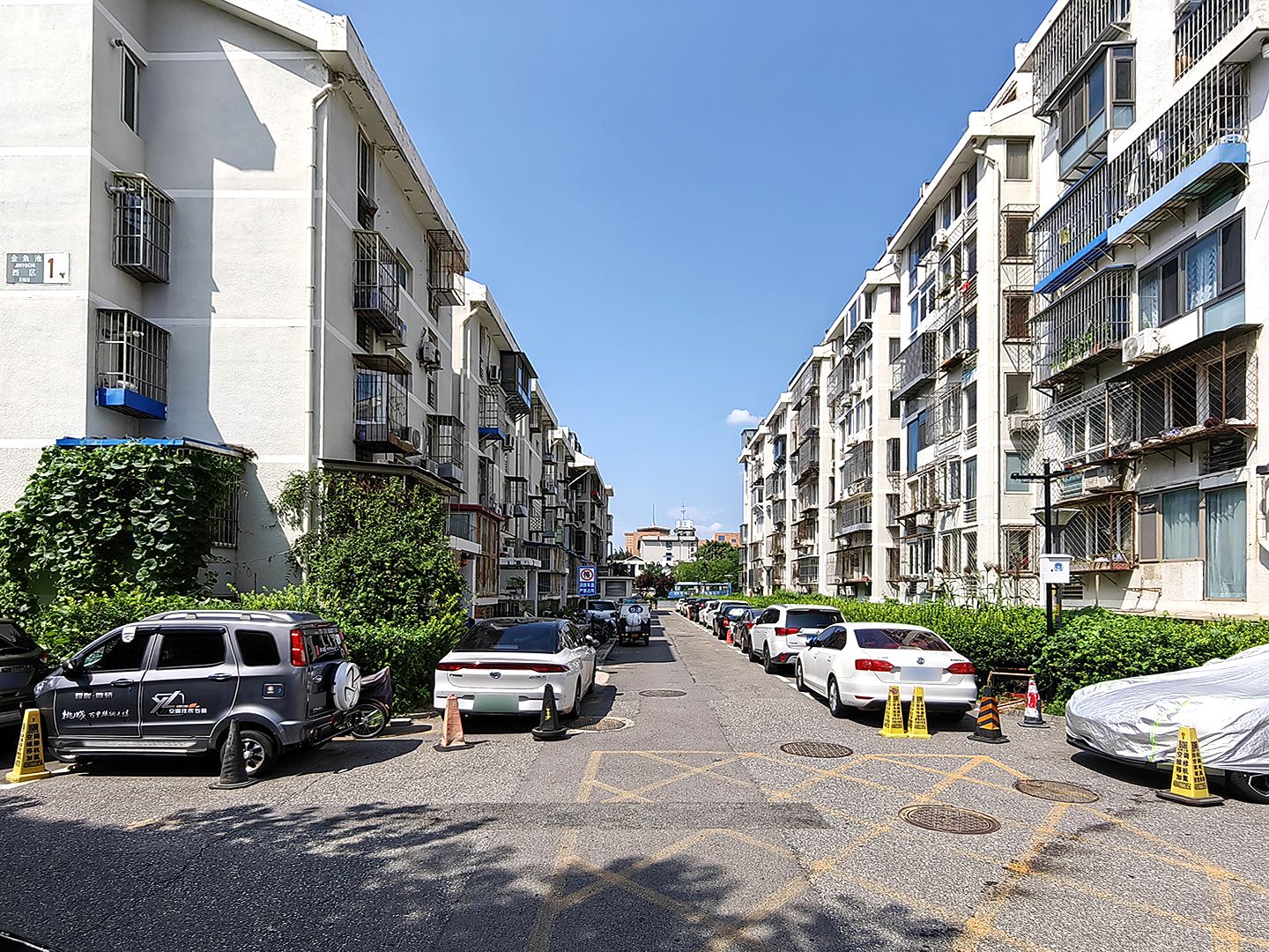 金鱼池西区 environment