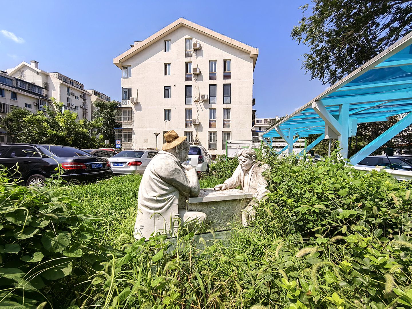 金鱼池西区 environment