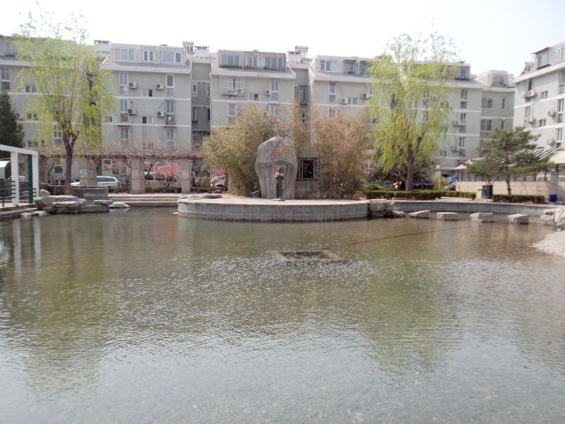 金鱼池中区 environment