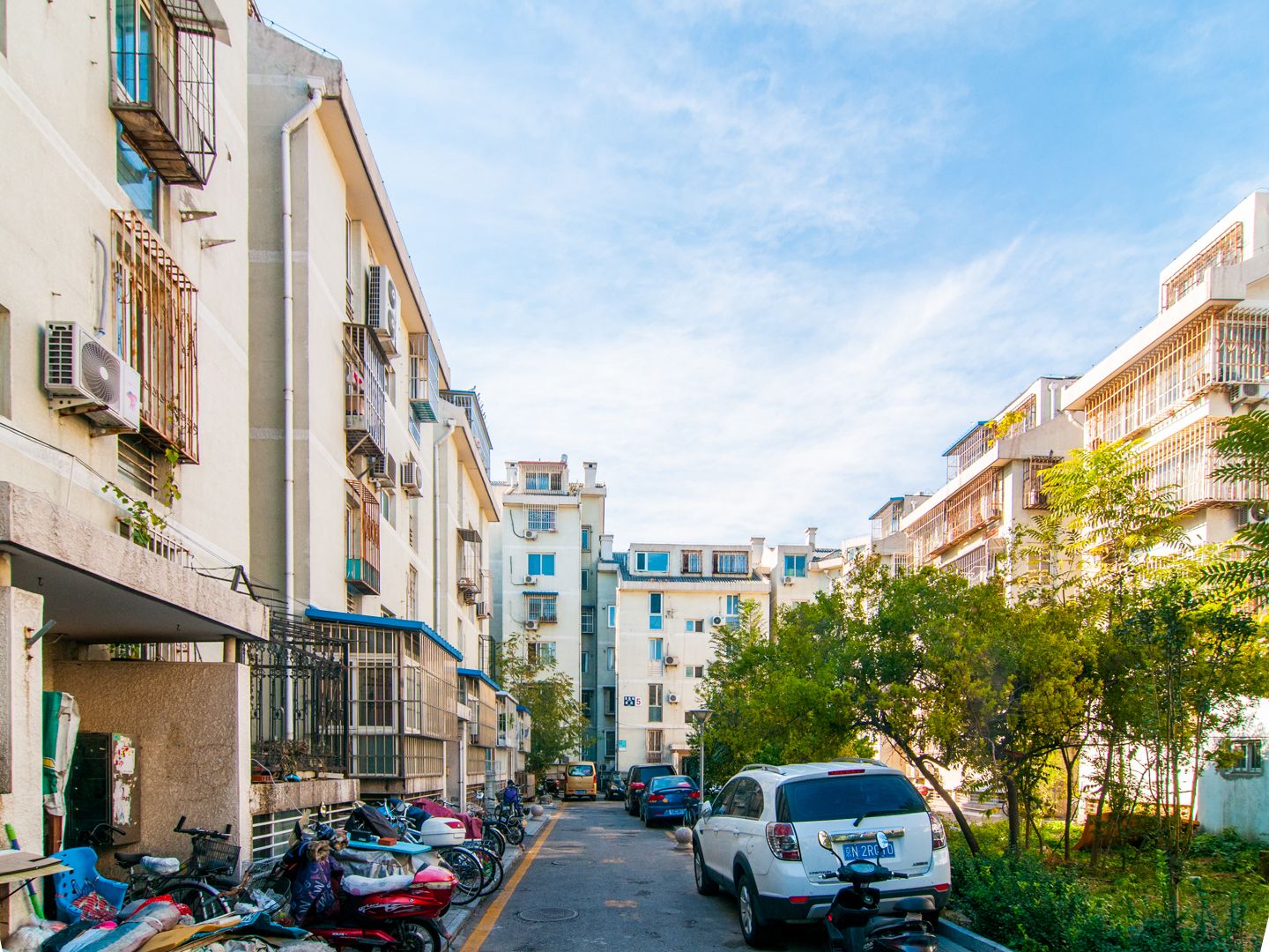 金鱼池中区 environment