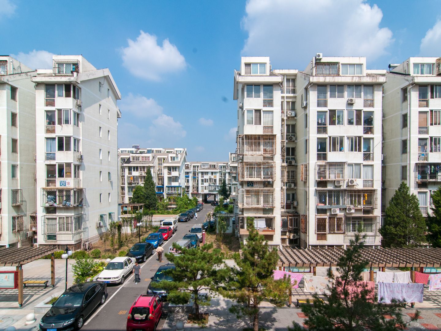 金鱼池中区 environment