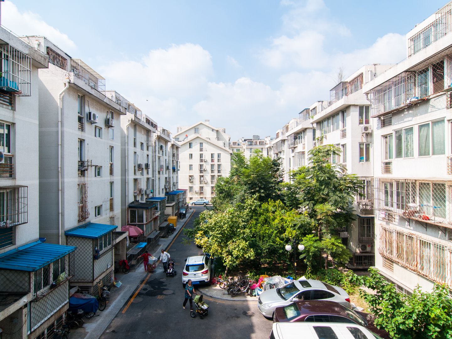 金鱼池中区 environment