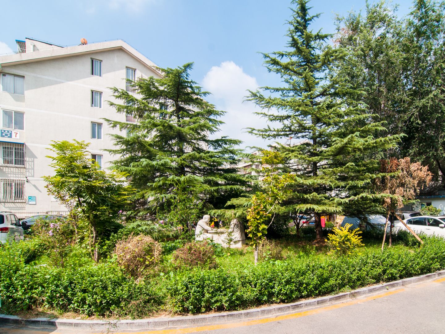 金鱼池中区 environment