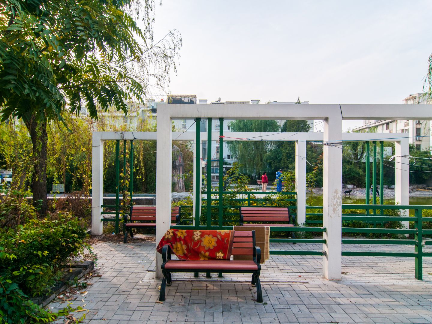 金鱼池中区 environment