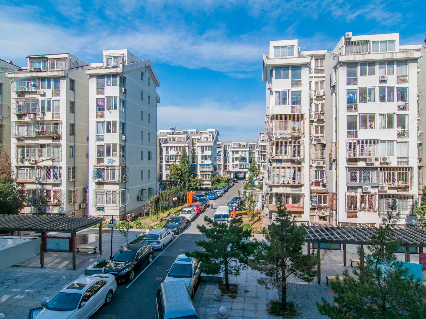 金鱼池中区 environment