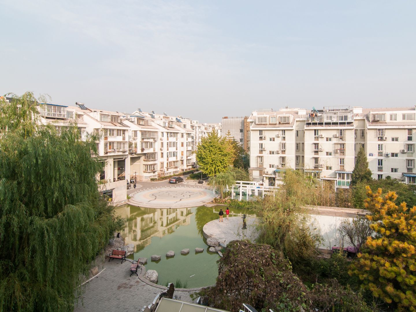 金鱼池中区 environment