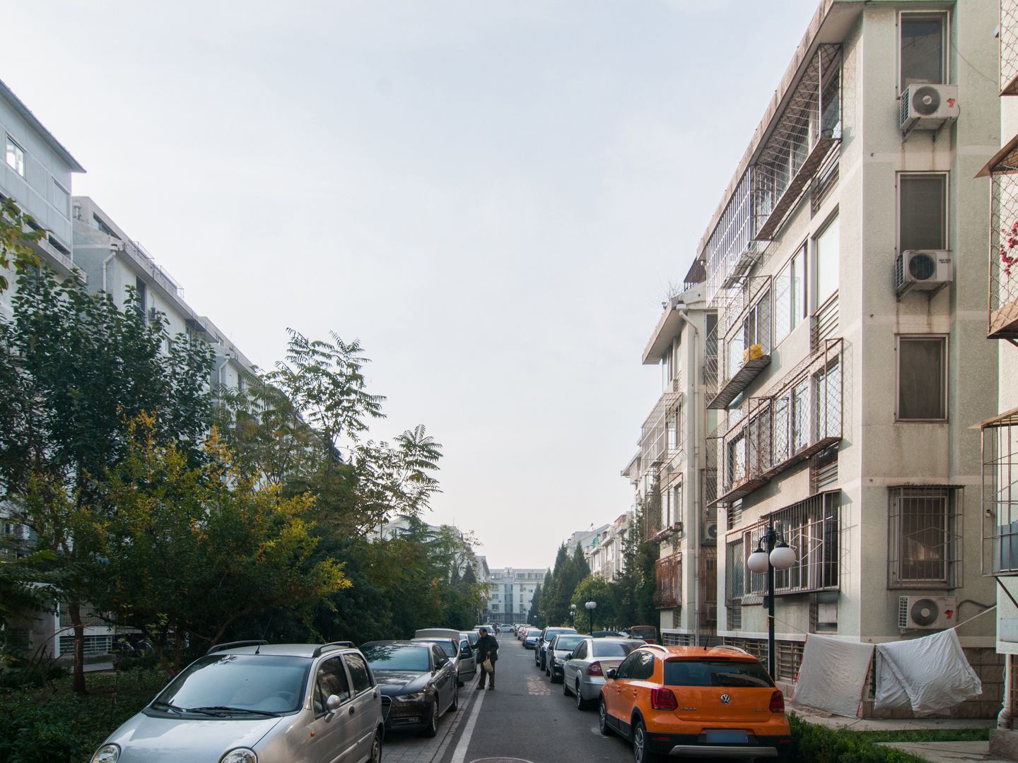 金鱼池中区 environment