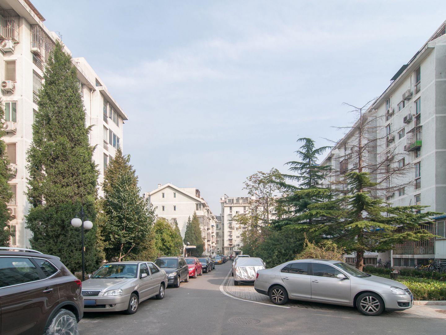 金鱼池中区 environment