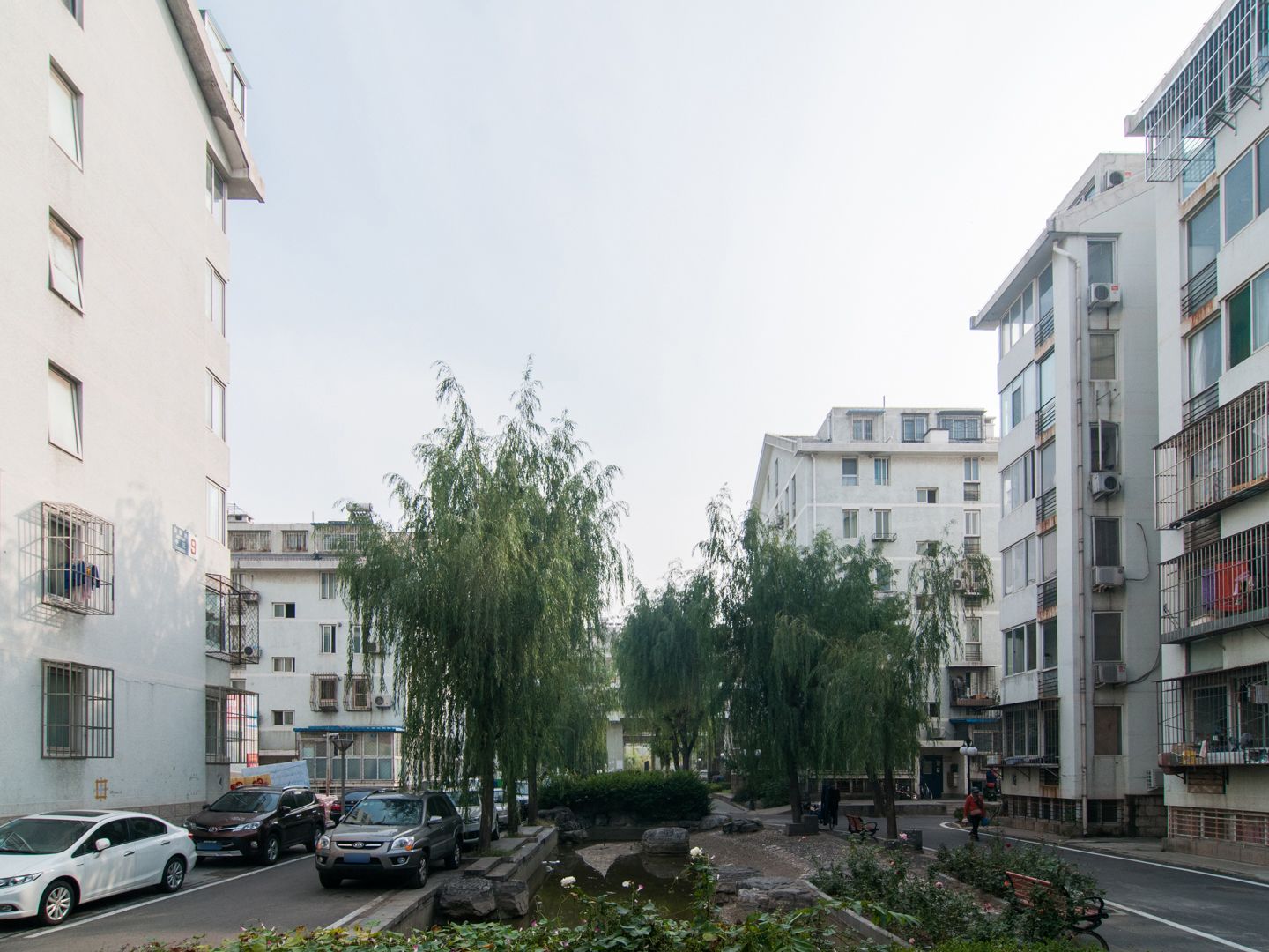 金鱼池中区 environment