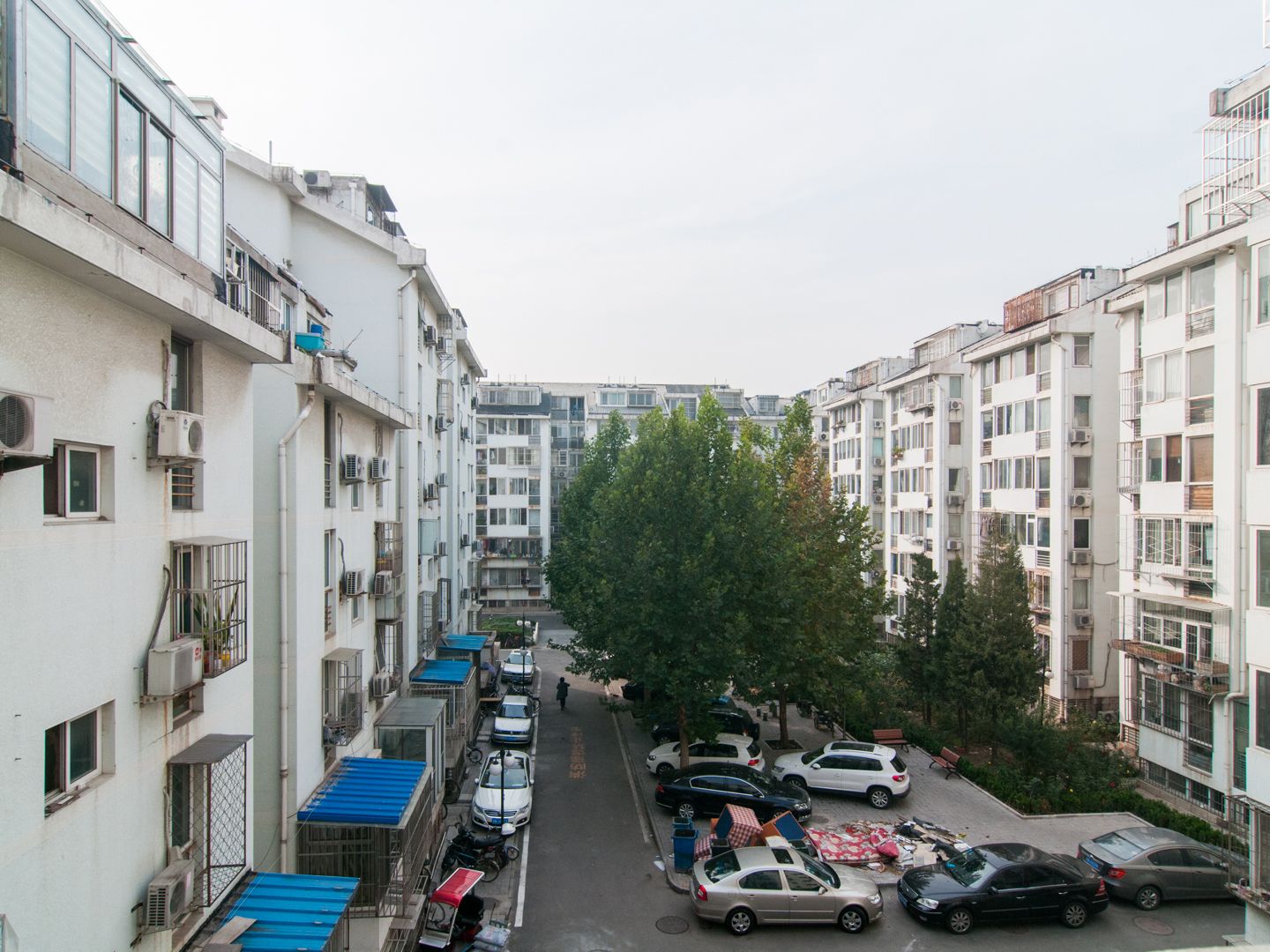 金鱼池中区 environment