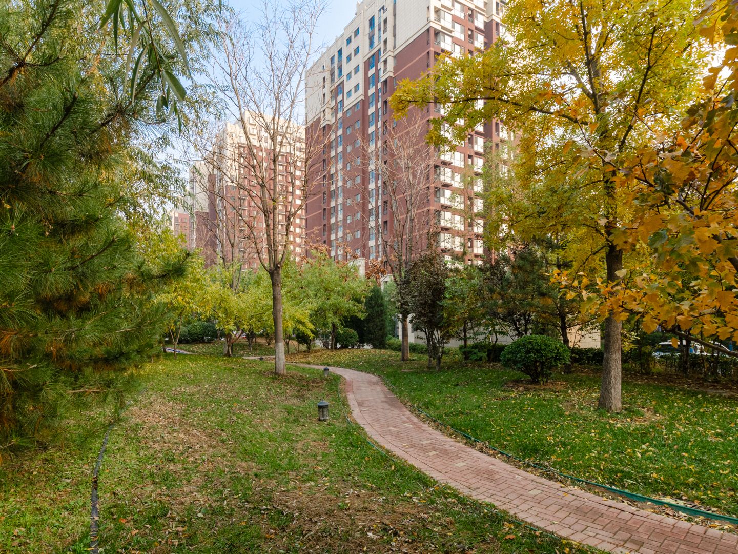 金隅翡丽爱公馆 environment